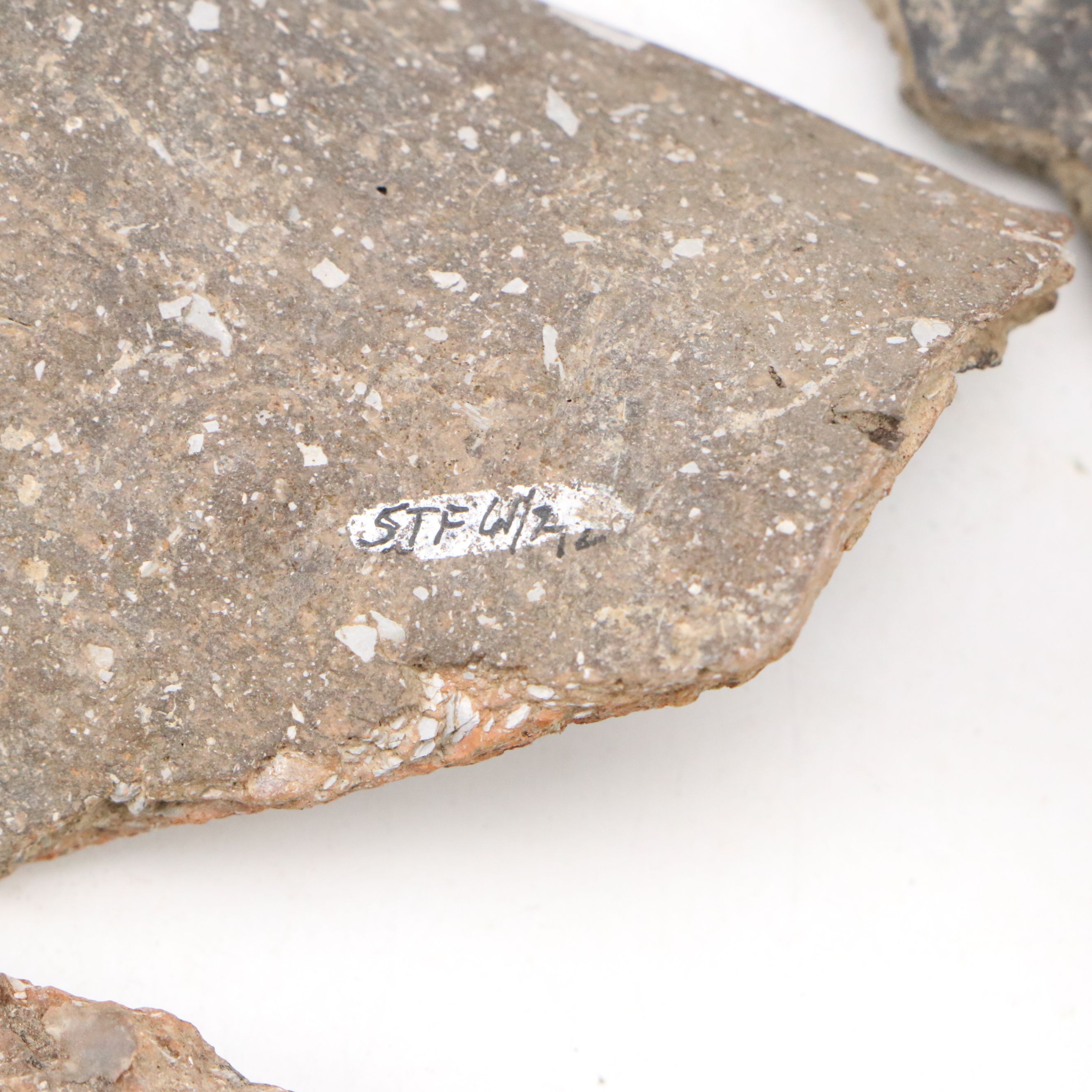 Fort Ancient Shell Tempered Ceramic Potsherds, 1000–1750 CE