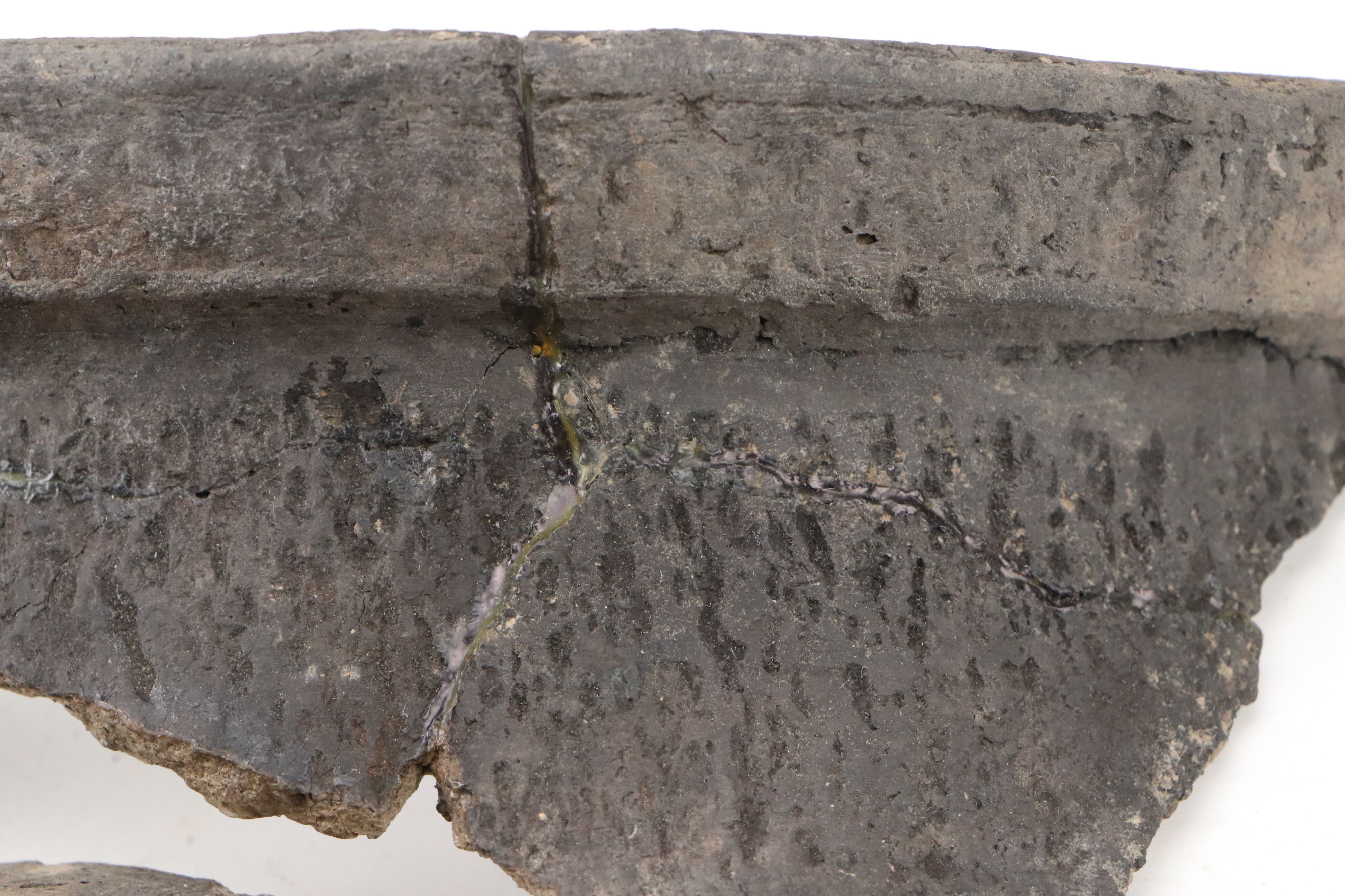 Fort Ancient Shell Tempered Ceramic Potsherds, 1000–1750 CE