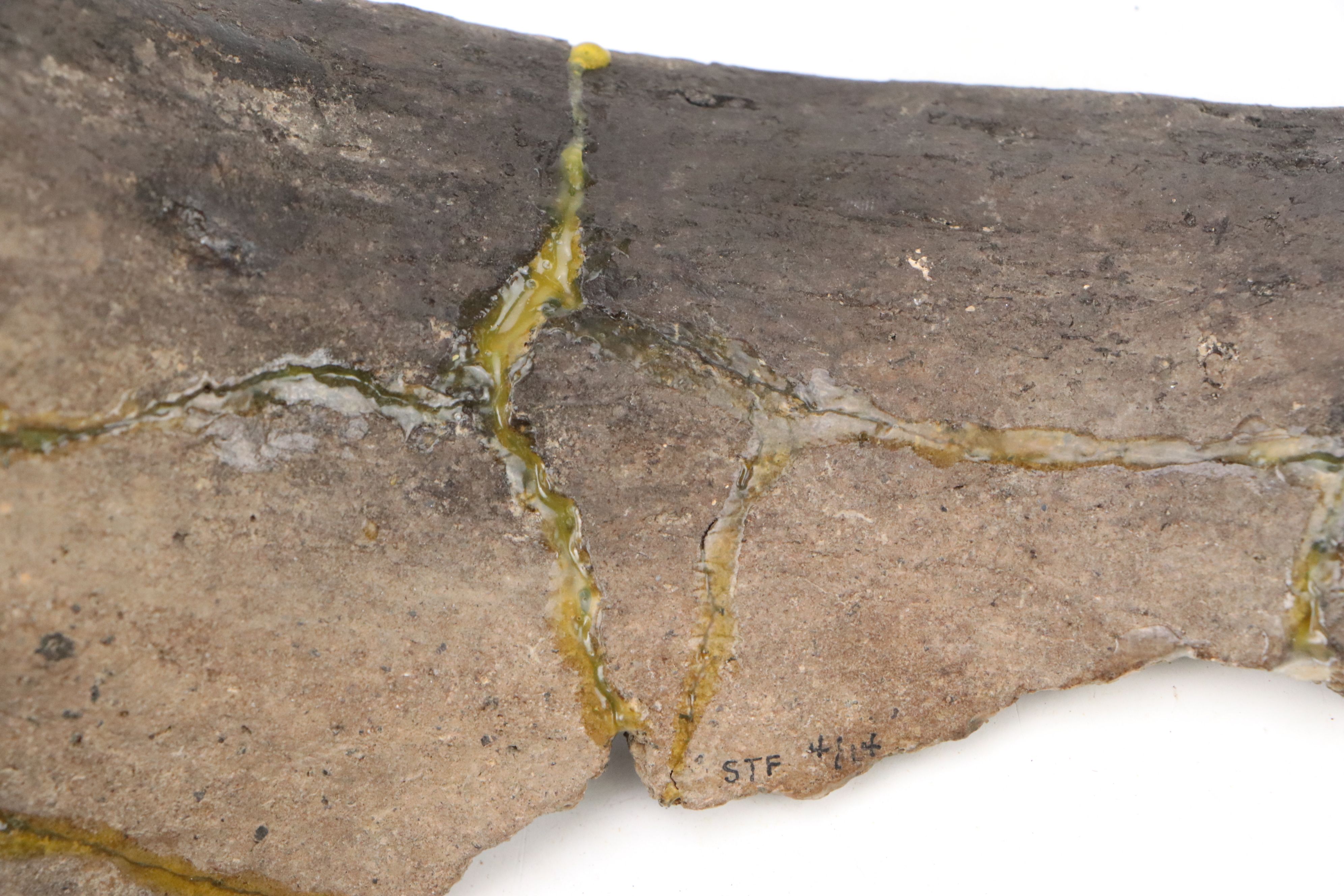 Fort Ancient Shell Tempered Ceramic Potsherds, 1000–1750 CE