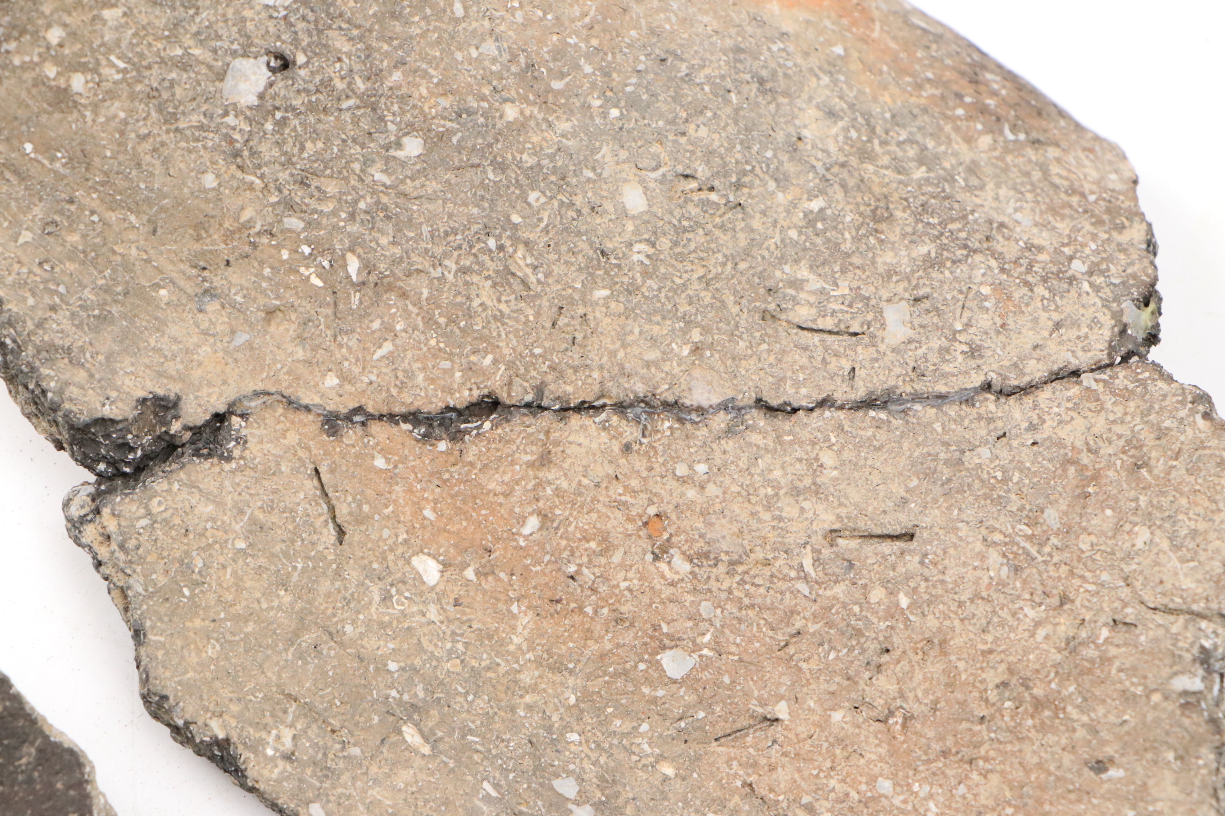 Fort Ancient Shell Tempered Ceramic Potsherds, 1000–1750 CE