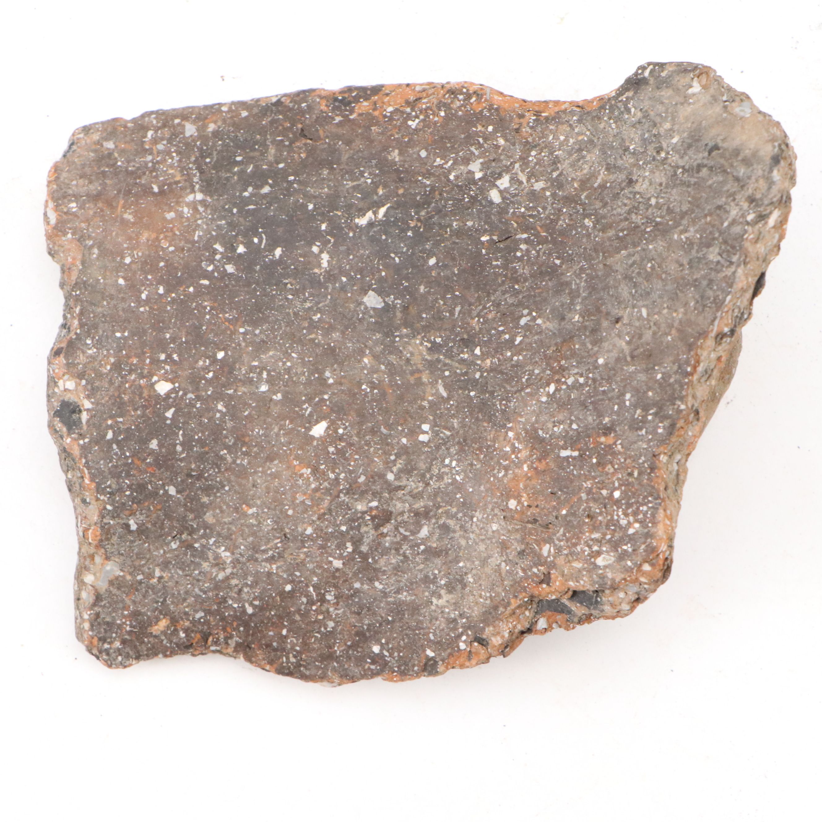 Fort Ancient Shell Tempered Ceramic Potsherds, 1000–1750 CE