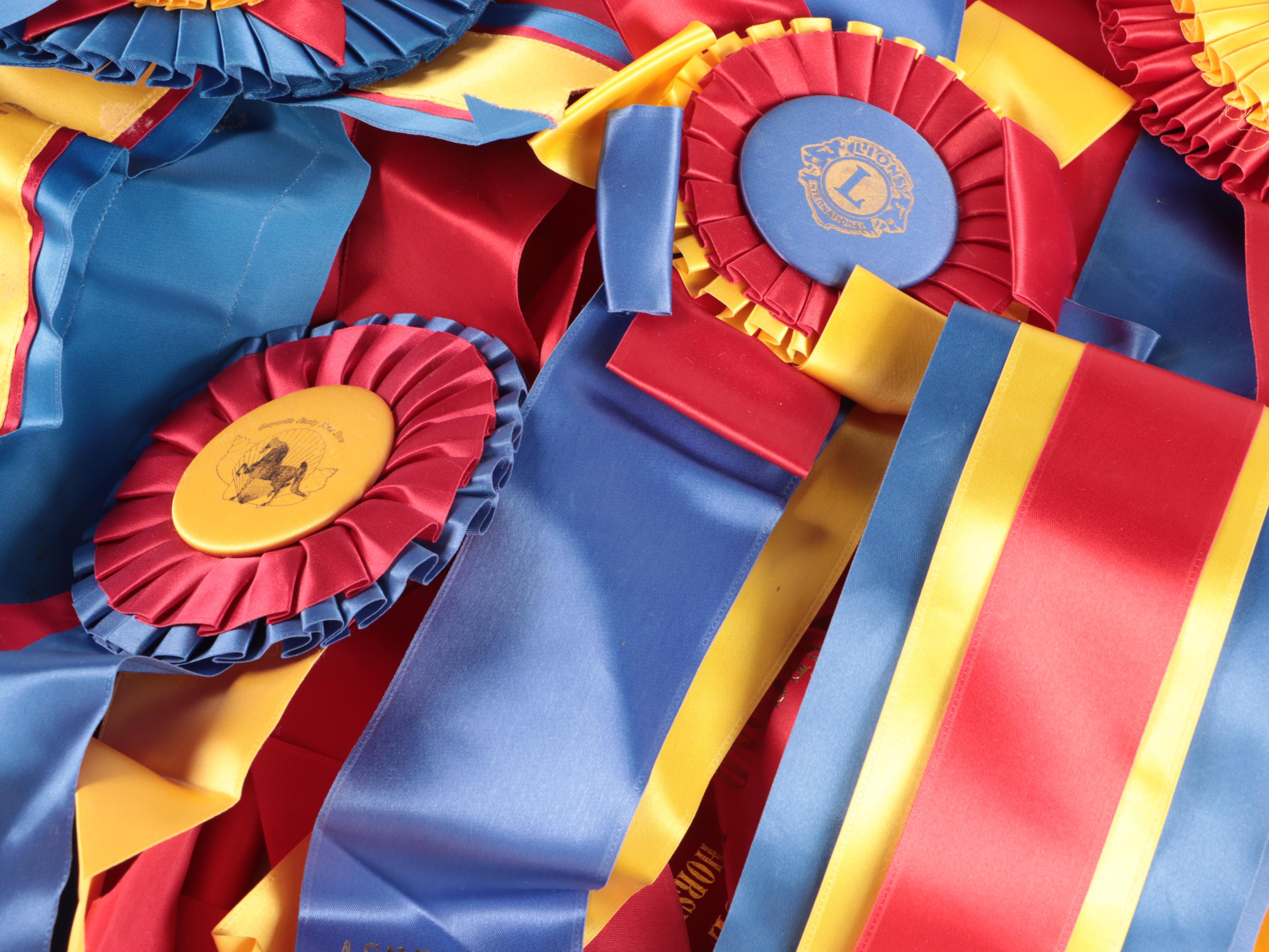 Kentucky State Fair and Other Saddlebred Equestrian Award Ribbons