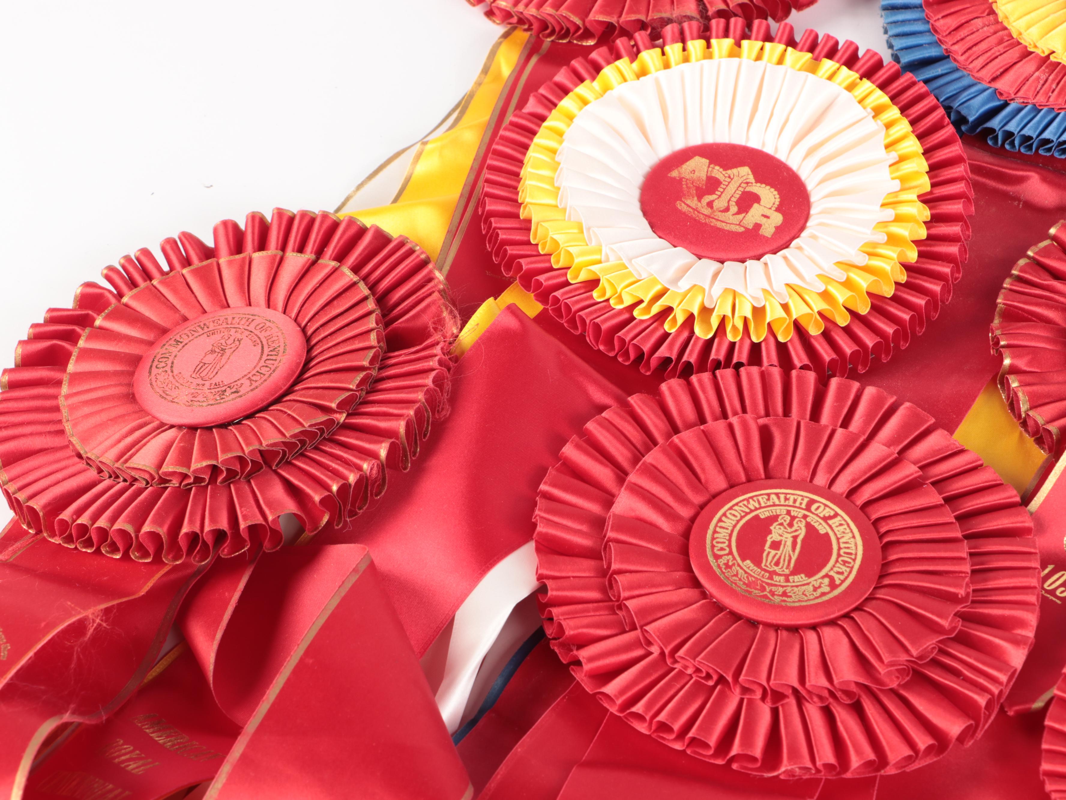 Kentucky State Fair and Other Saddlebred Equestrian Award Ribbons