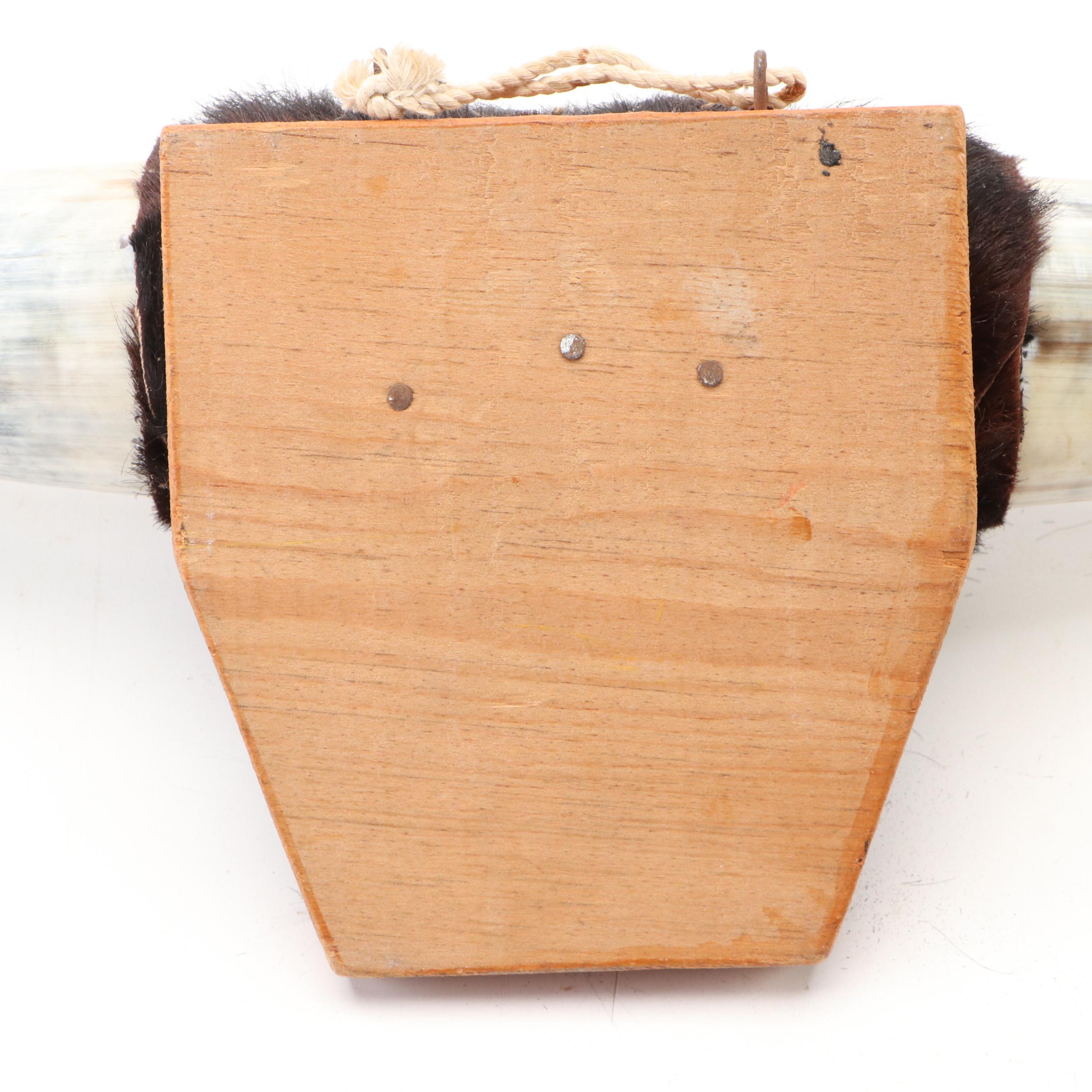 Longhorn Steer Horns with Hide Wrap and Hoof