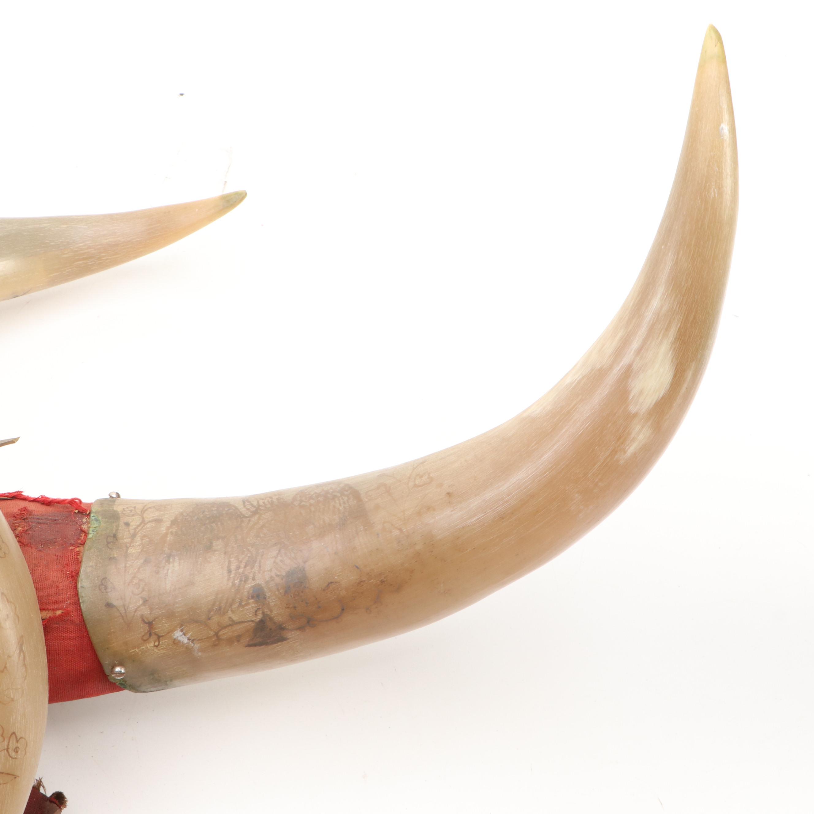 Folk Art Steer Horn and Hoof Mount, 1930s