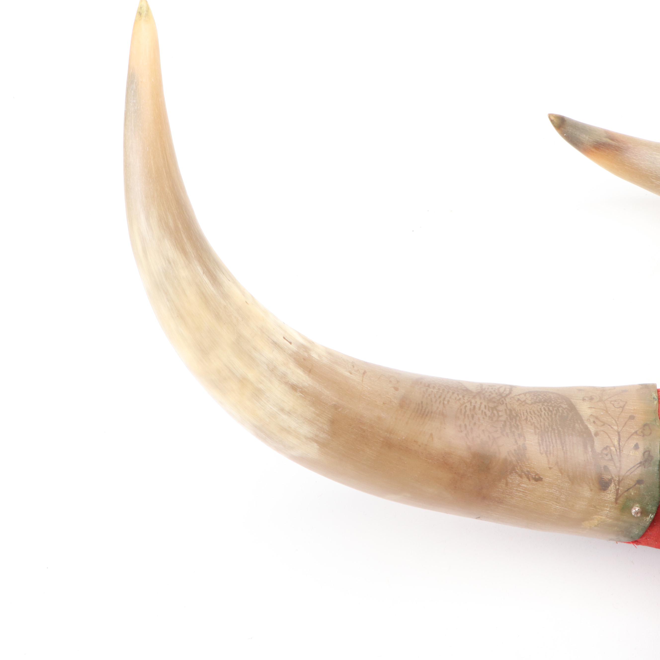 Folk Art Steer Horn and Hoof Mount, 1930s