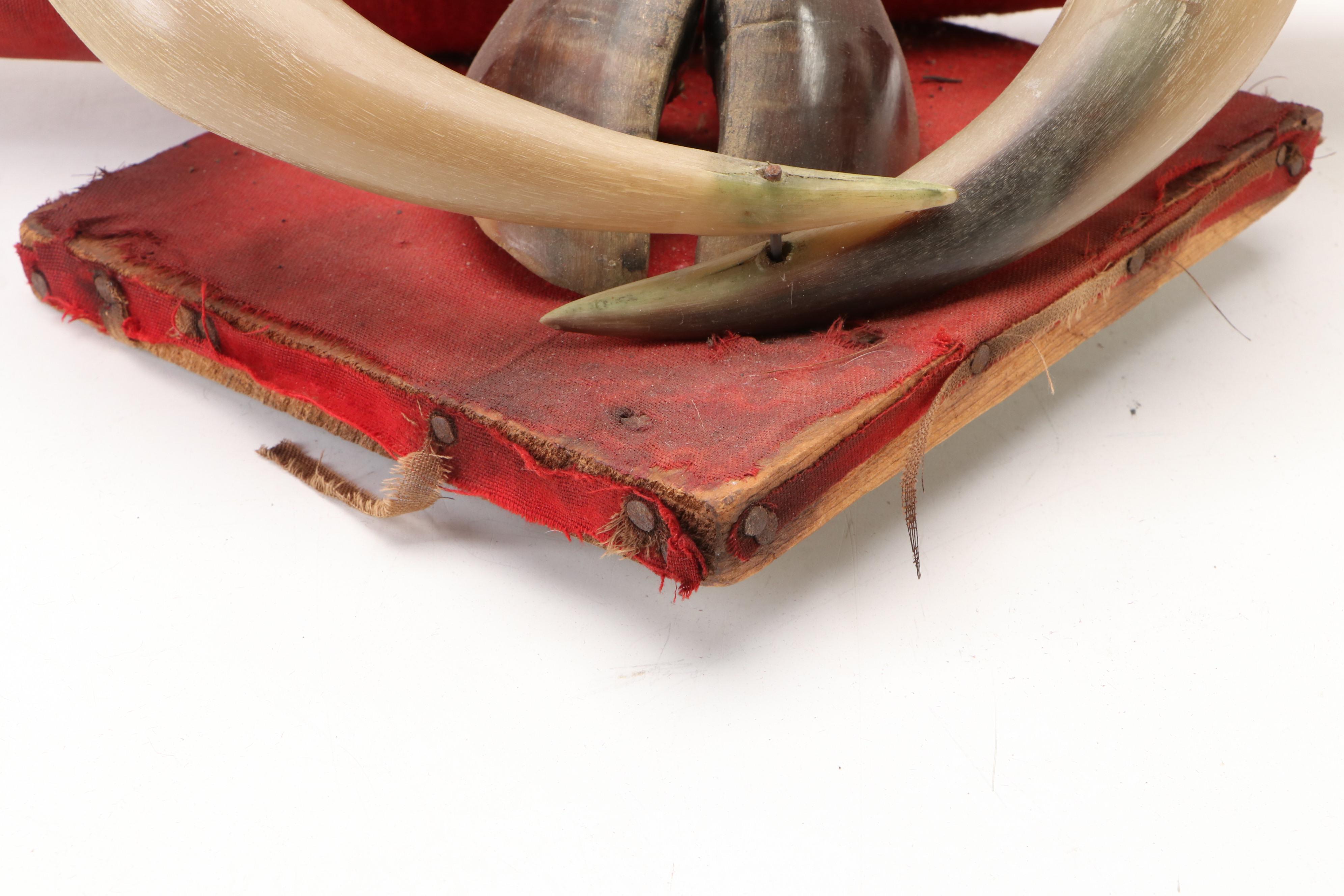 Folk Art Steer Horn and Hoof Mount, 1930s