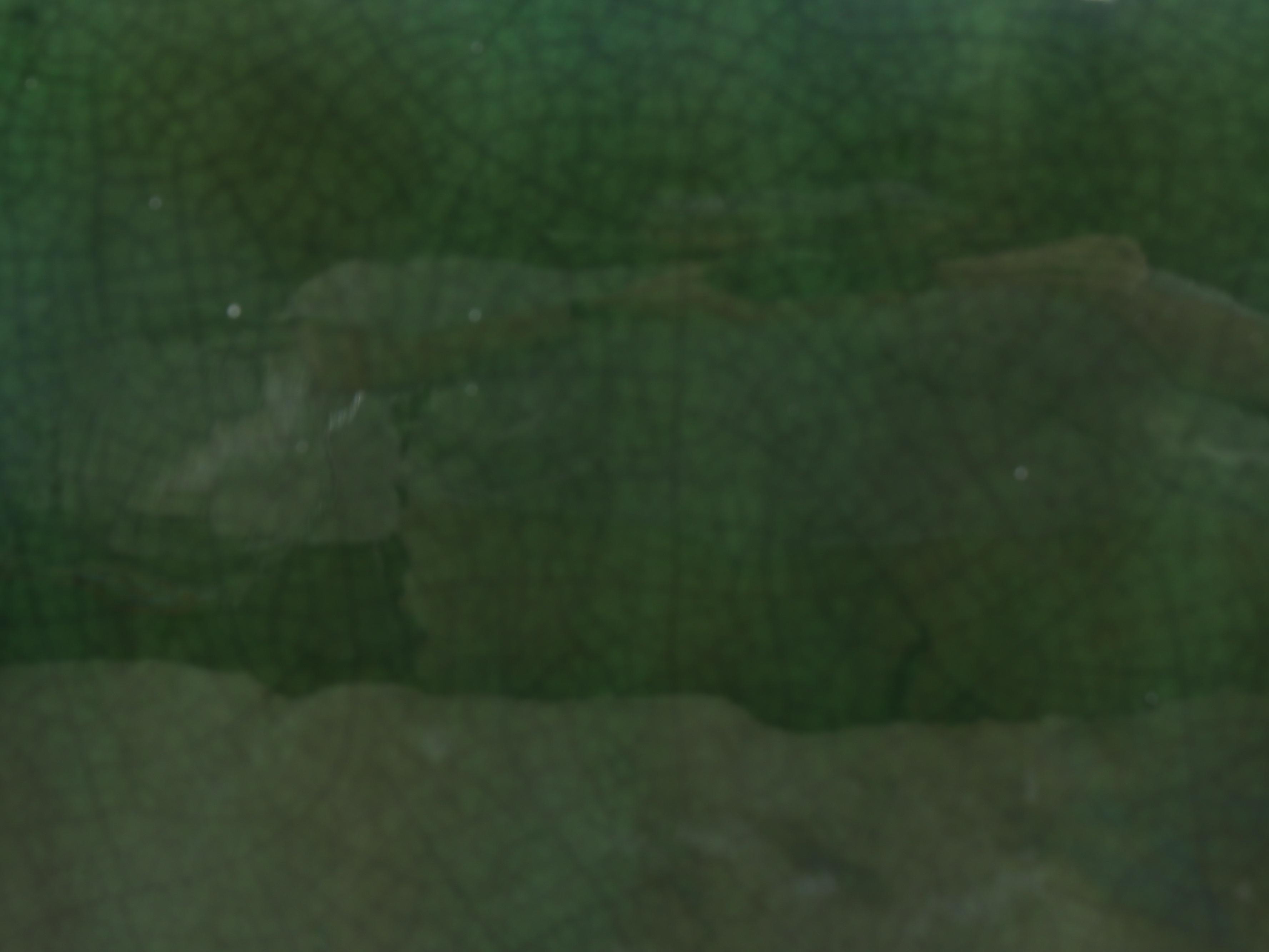 Oriental Accent Green Ceramic Vessel Table Lamp with Pagoda Shade