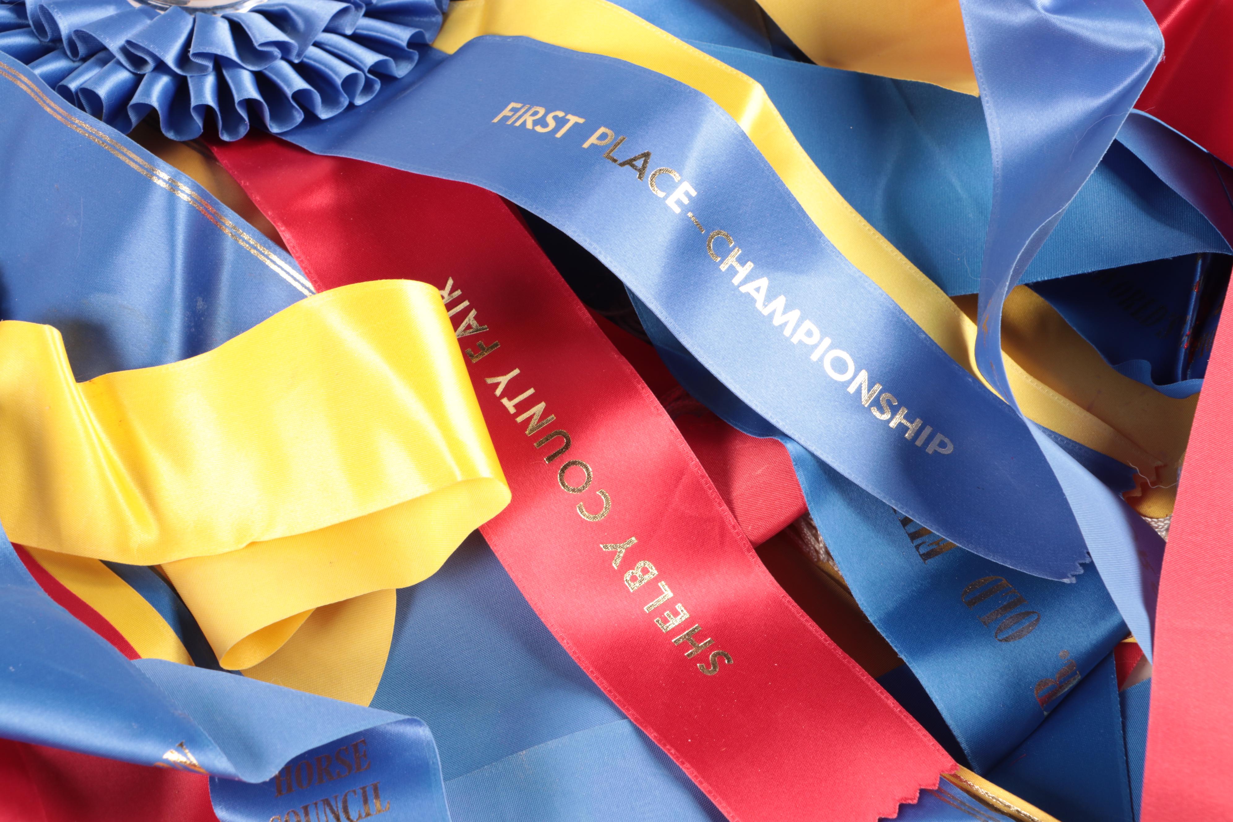 Kentucky State Fair and More Saddlebred Equestrian Award Ribbons