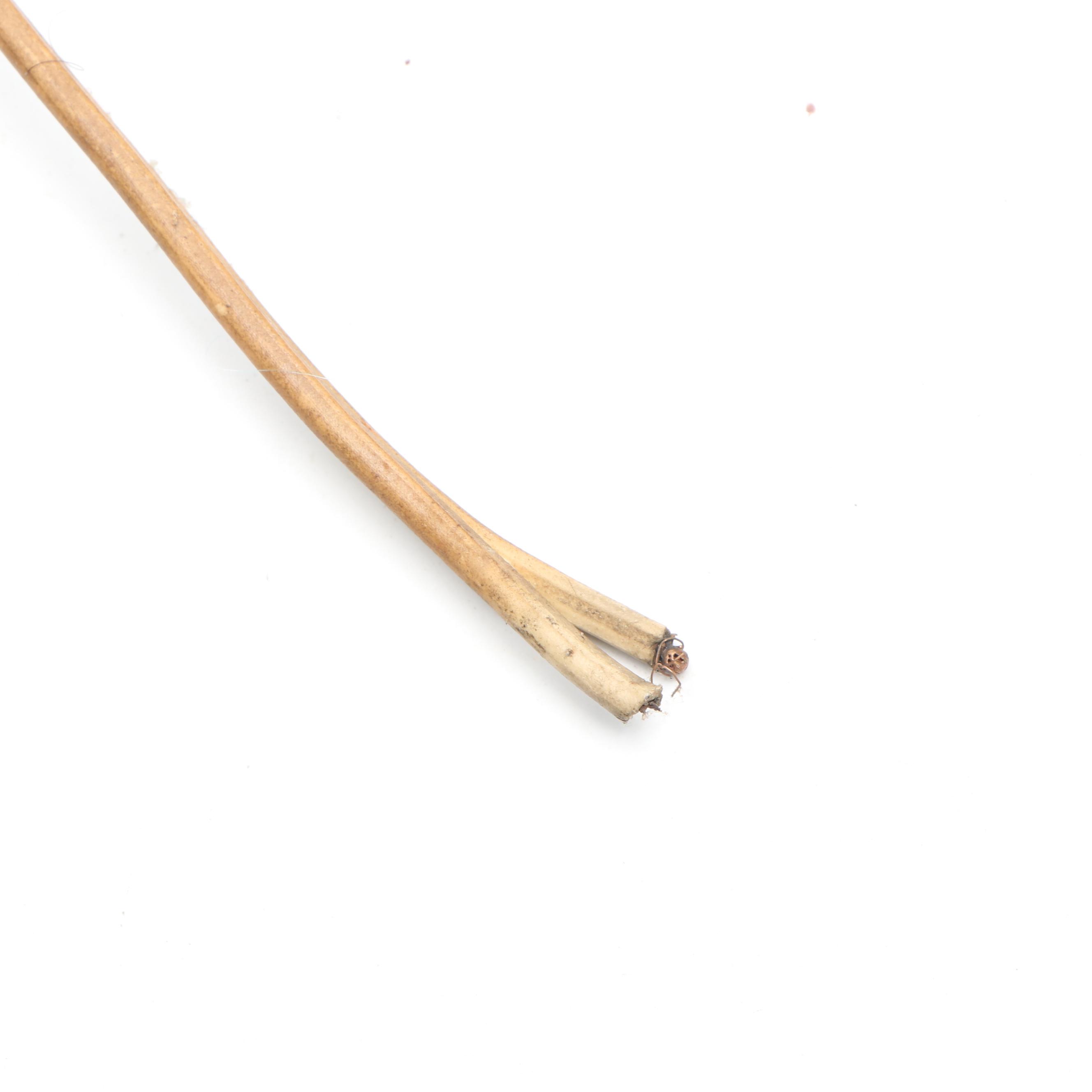 Reverse Painted Magnolia Glass Panel in Metal Frame Shadow Box