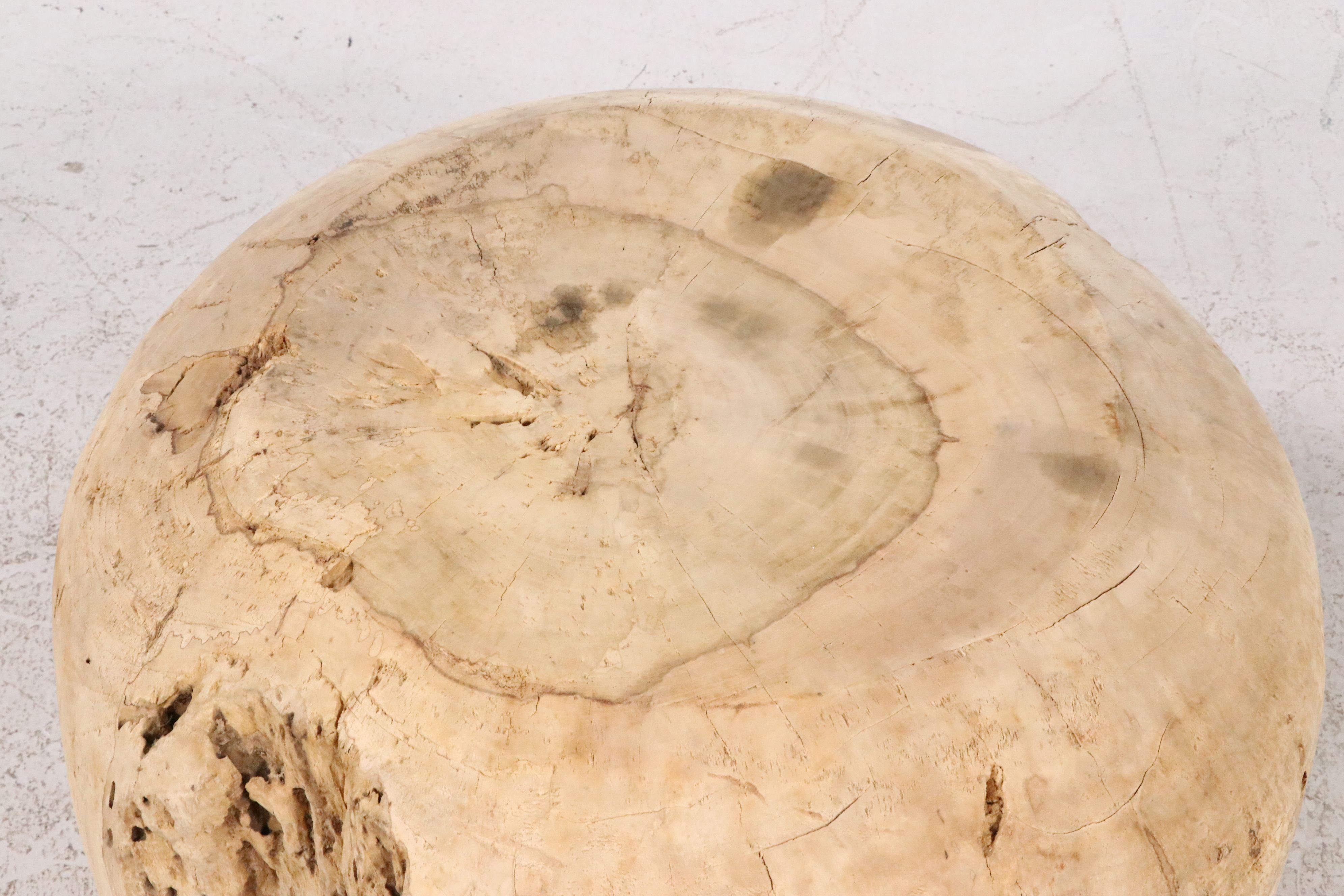 Petrified Wood Coffee Table