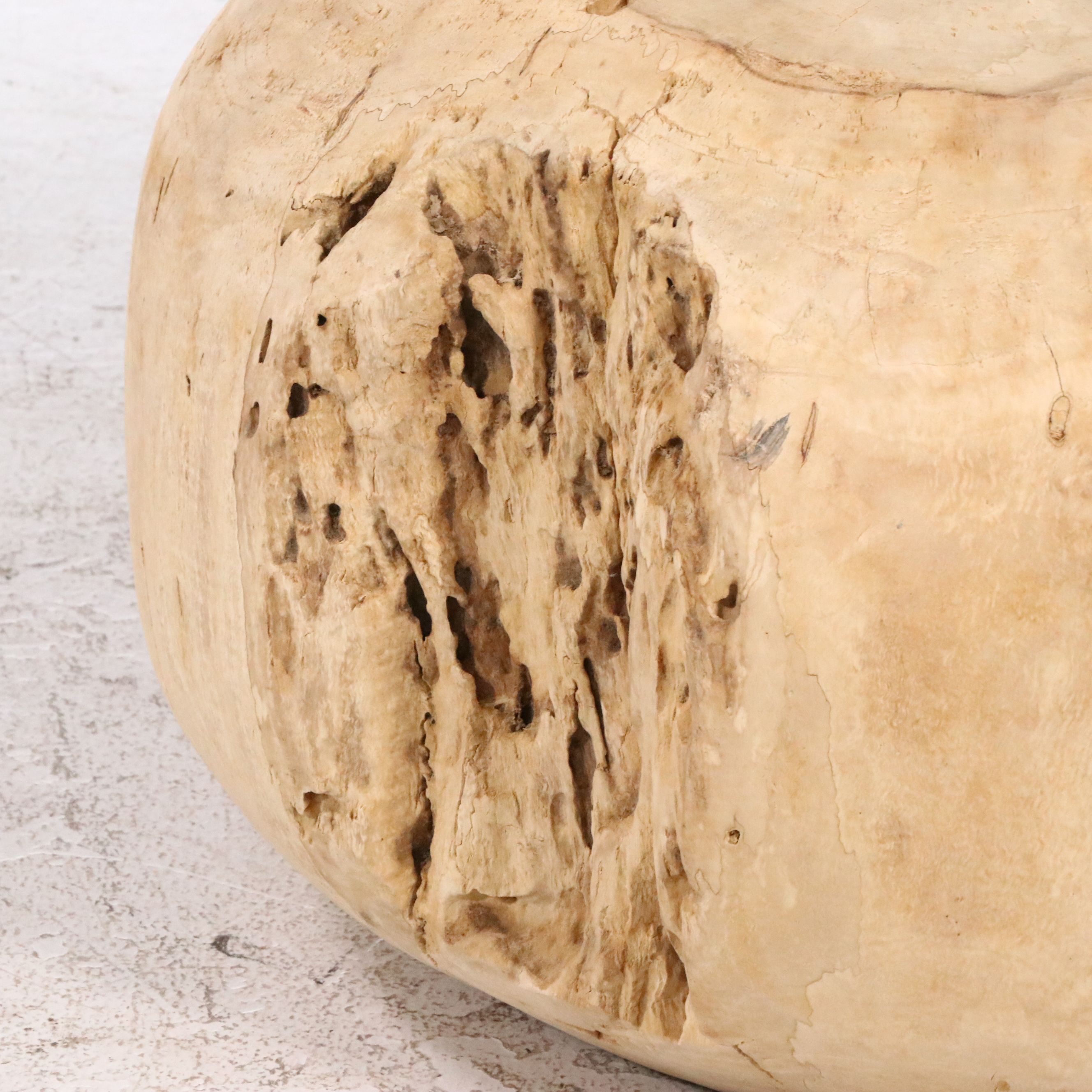 Petrified Wood Coffee Table