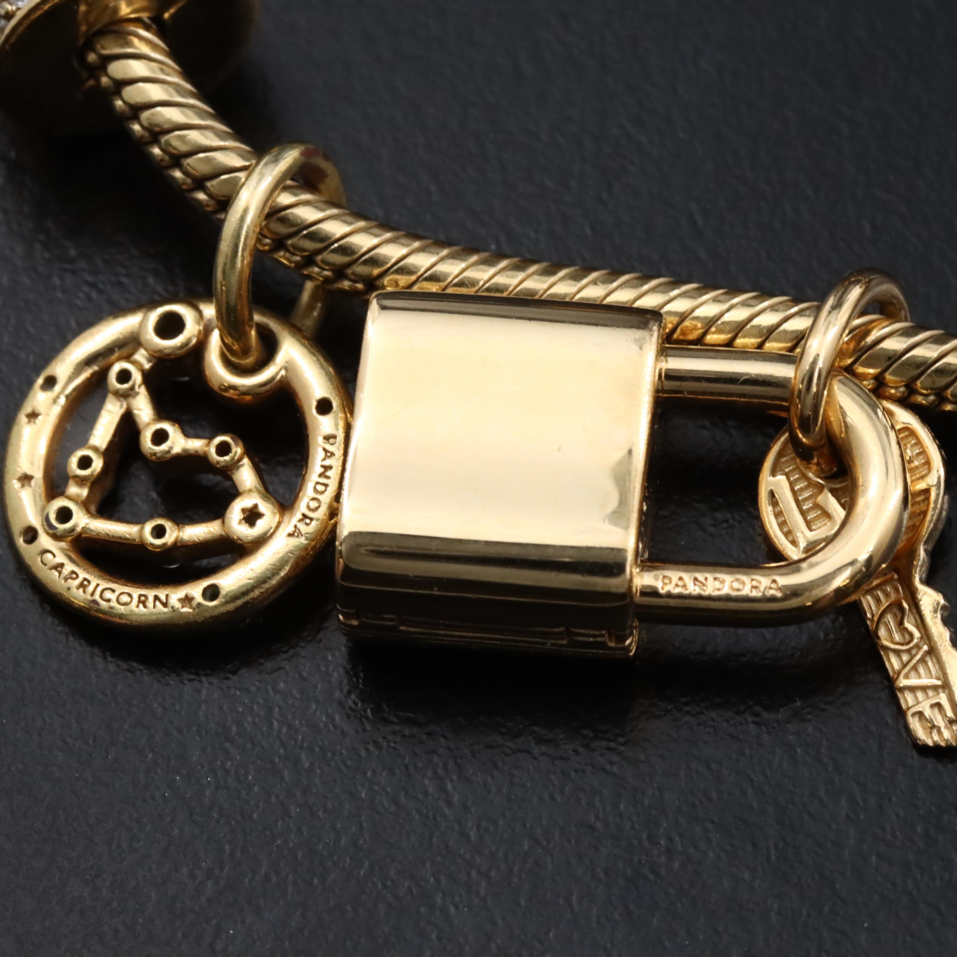 Pandora CZ Bracelet and Charms