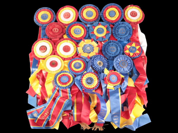 Sports Memorabilia, Toys, Ephemera & Collectibles