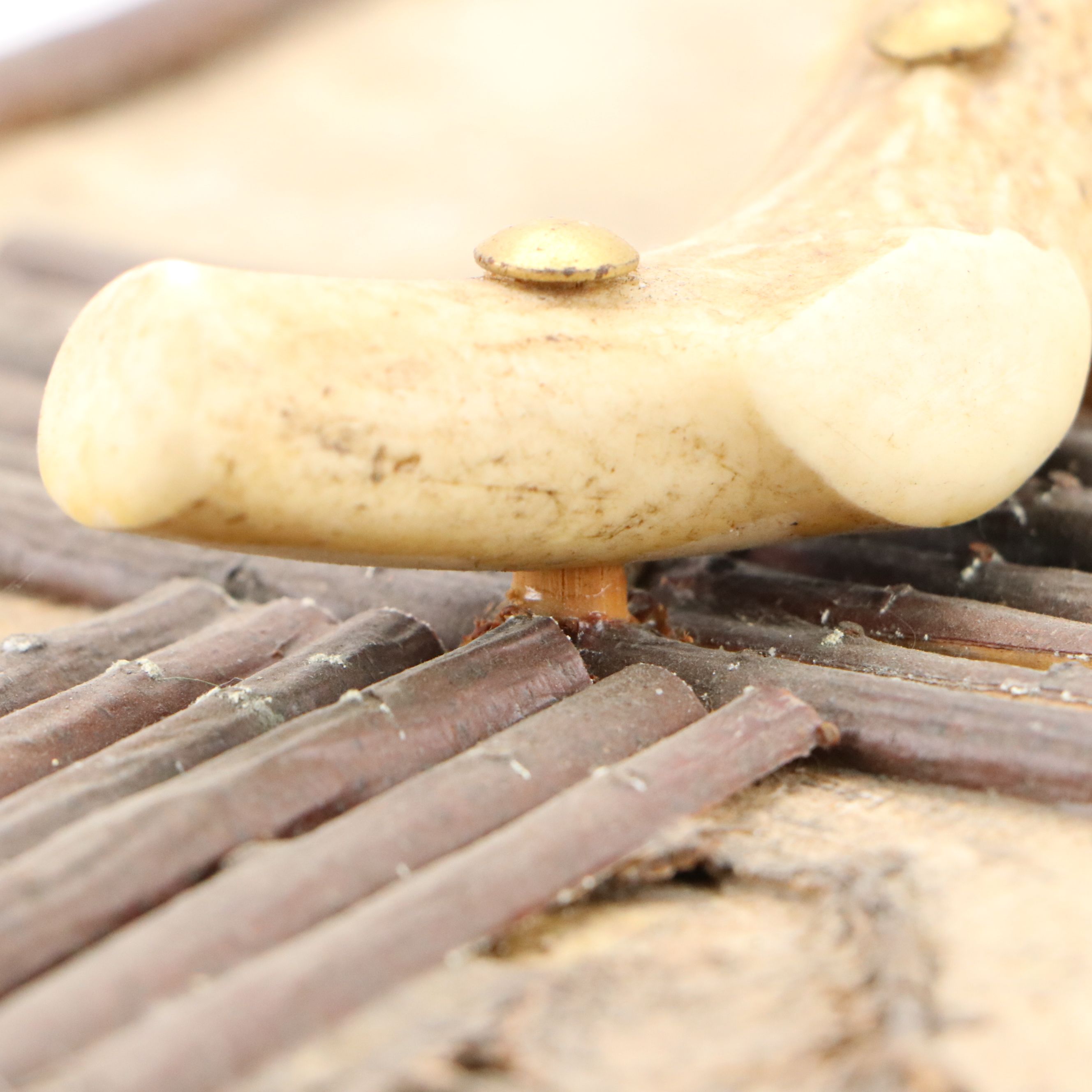 Robert Beaven Folk Art Antlers and Birch Veneer Wooden Box