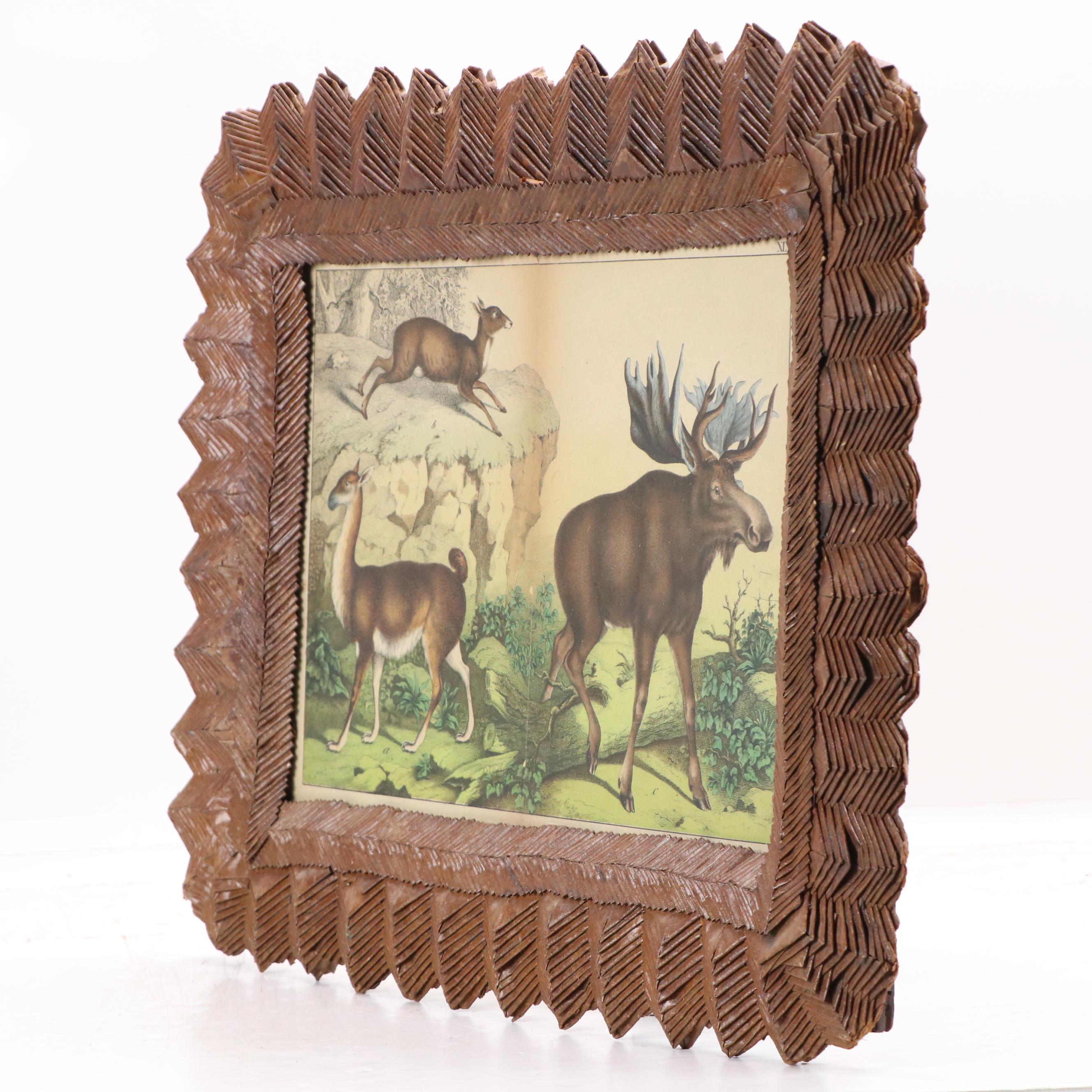 Folded Paper Craft Frame with Hand-Colored Zoological Print