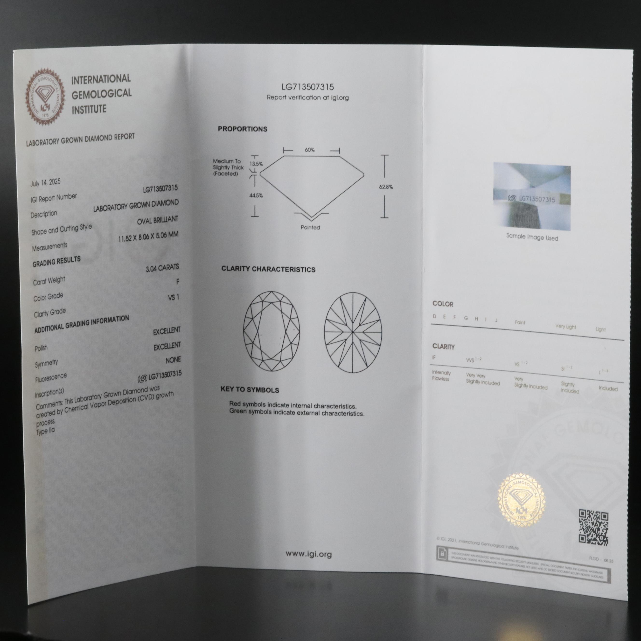 14K Two Tone Gold 3.04 CT Lab Grown Diamond Pendant Necklace with IGI Report