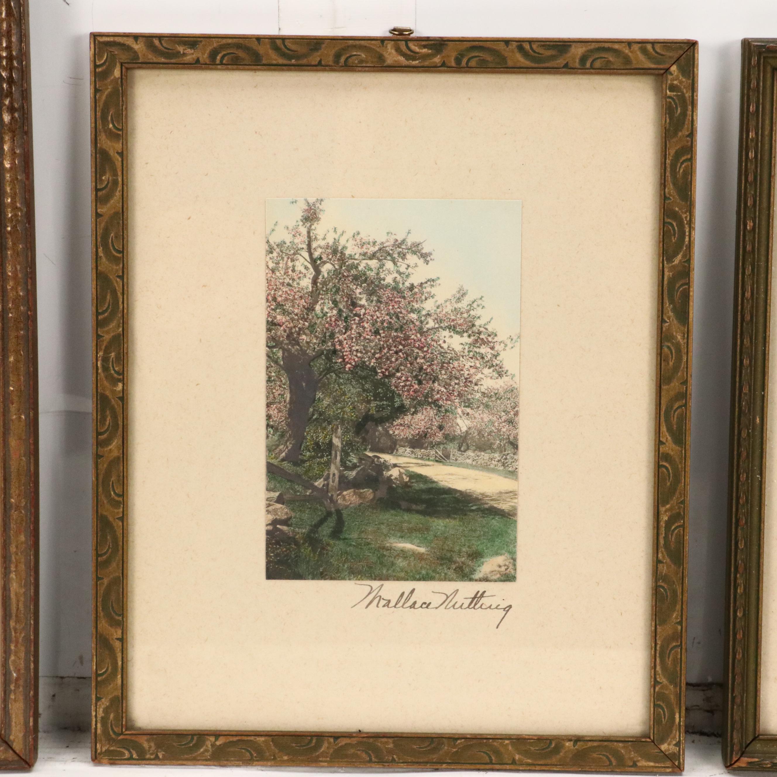 Wallace Nutting Hand-Colored Platinum Photographs "At The Well..." and More