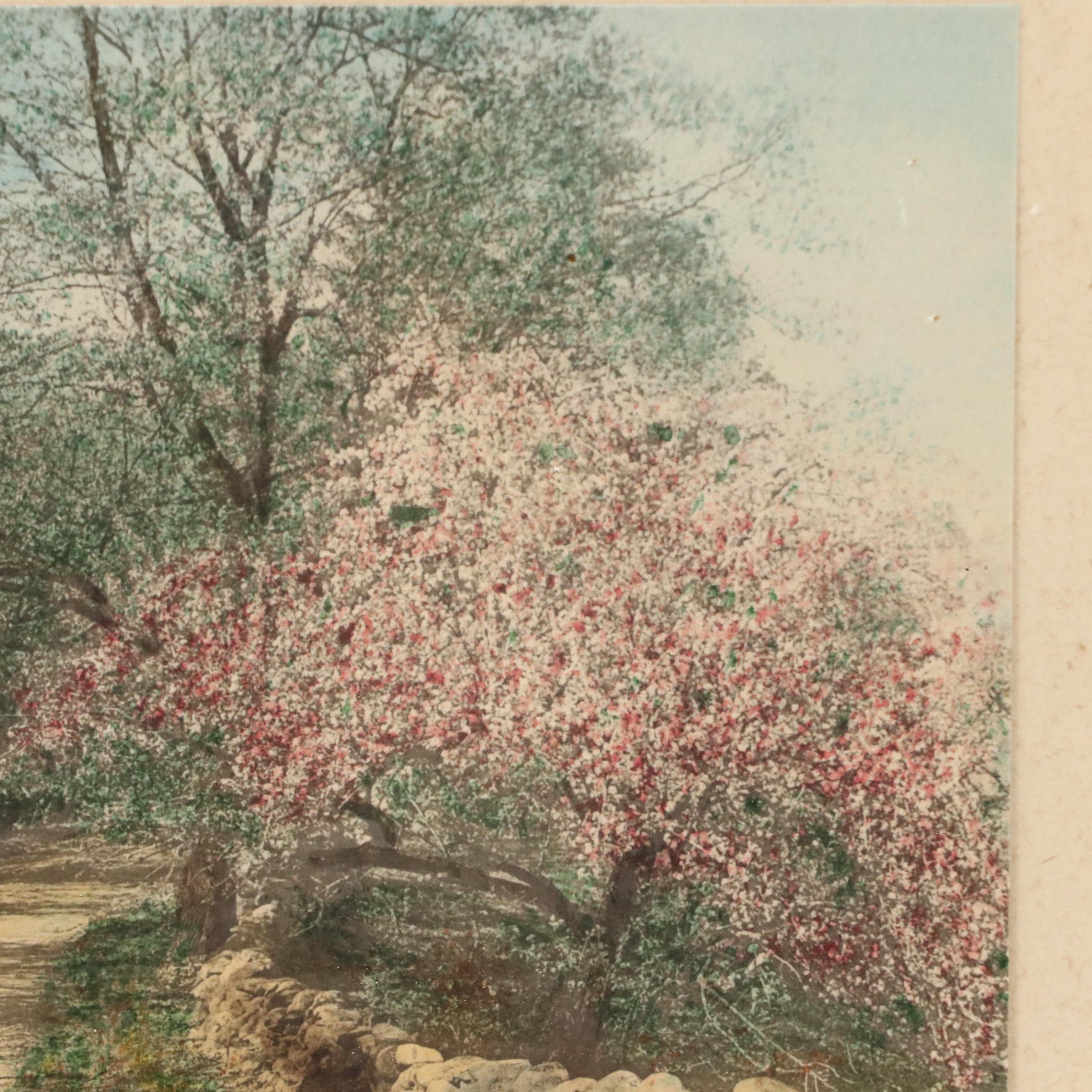Wallace Nutting Hand-Colored Platinum Photographs "At The Well..." and More