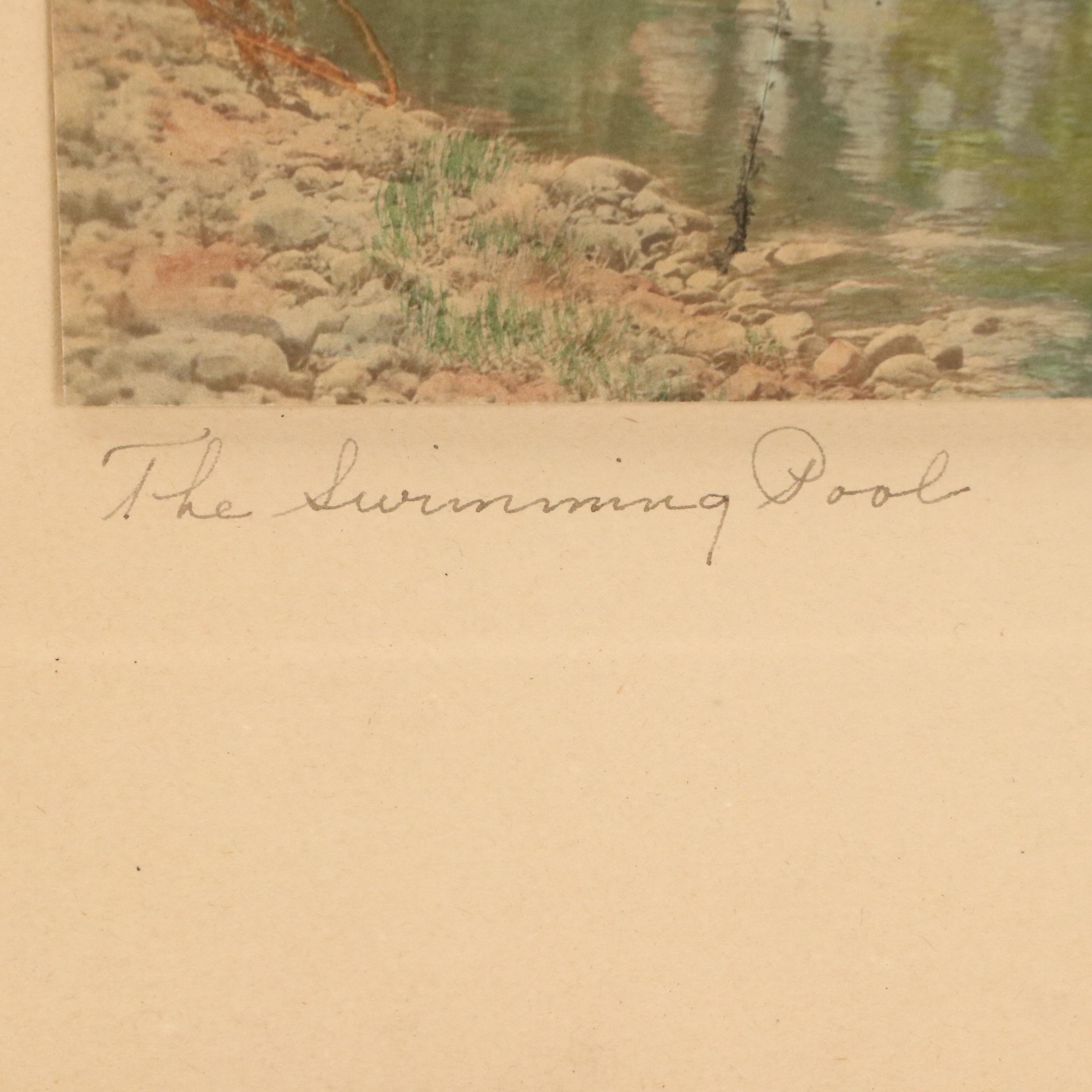Wallace Nutting Hand-Colored Platinum Photographs "The Swimming Pool" and More