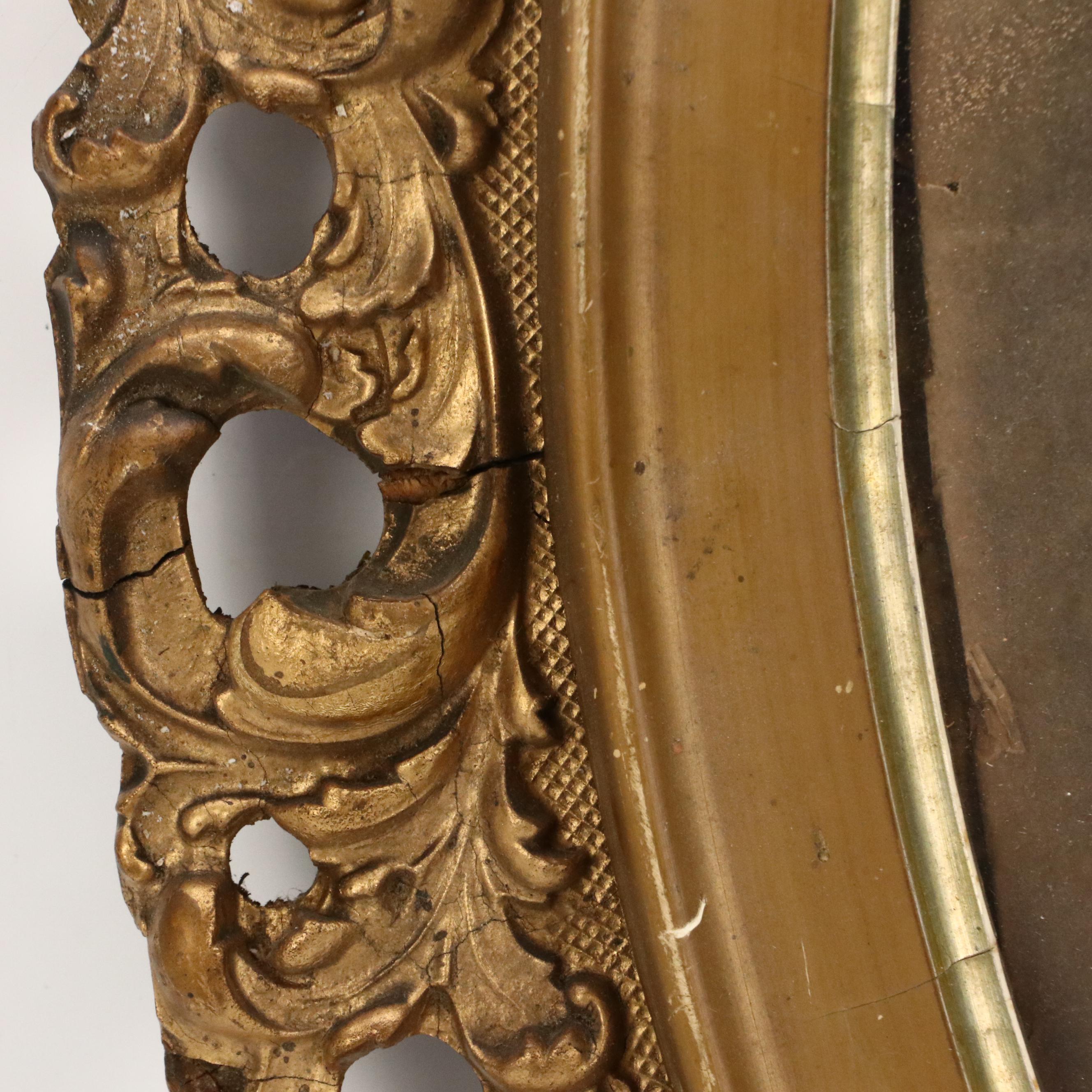 Albumen and Other Portrait Photographs of Children, Circa Late 19th Century