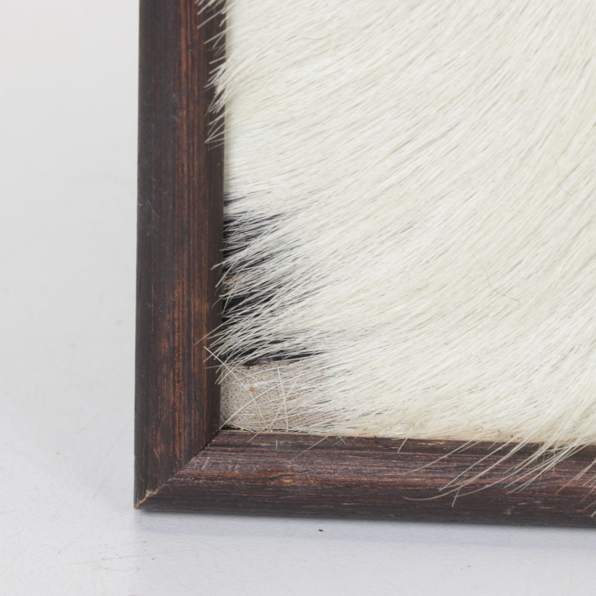 Costa Rican Animal Fur Folk Art Panels