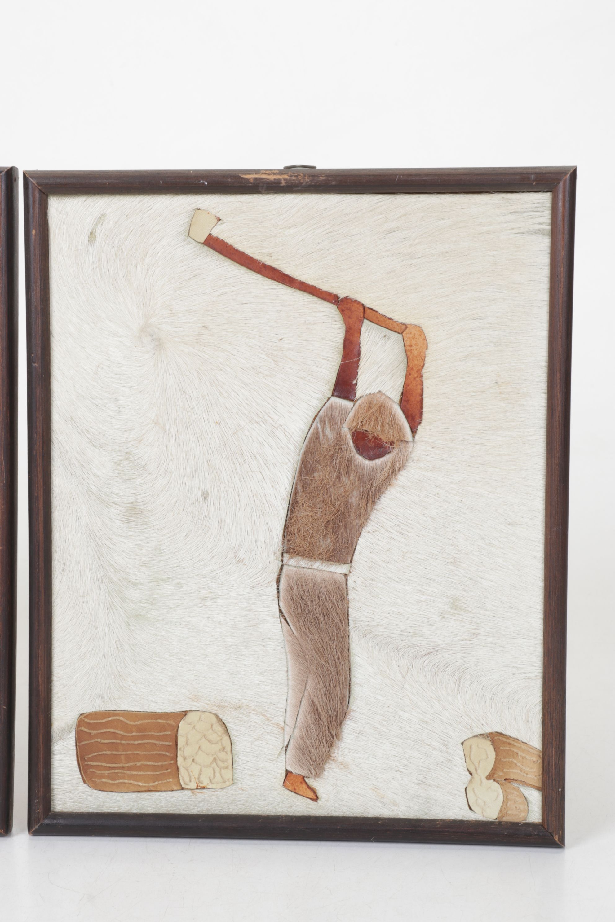 Costa Rican Animal Fur Folk Art Panels