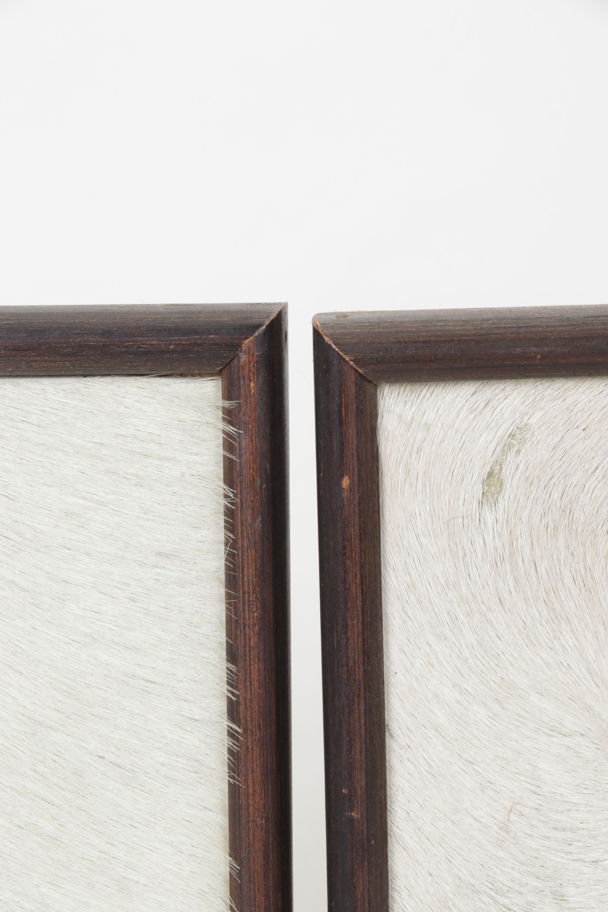 Costa Rican Animal Fur Folk Art Panels