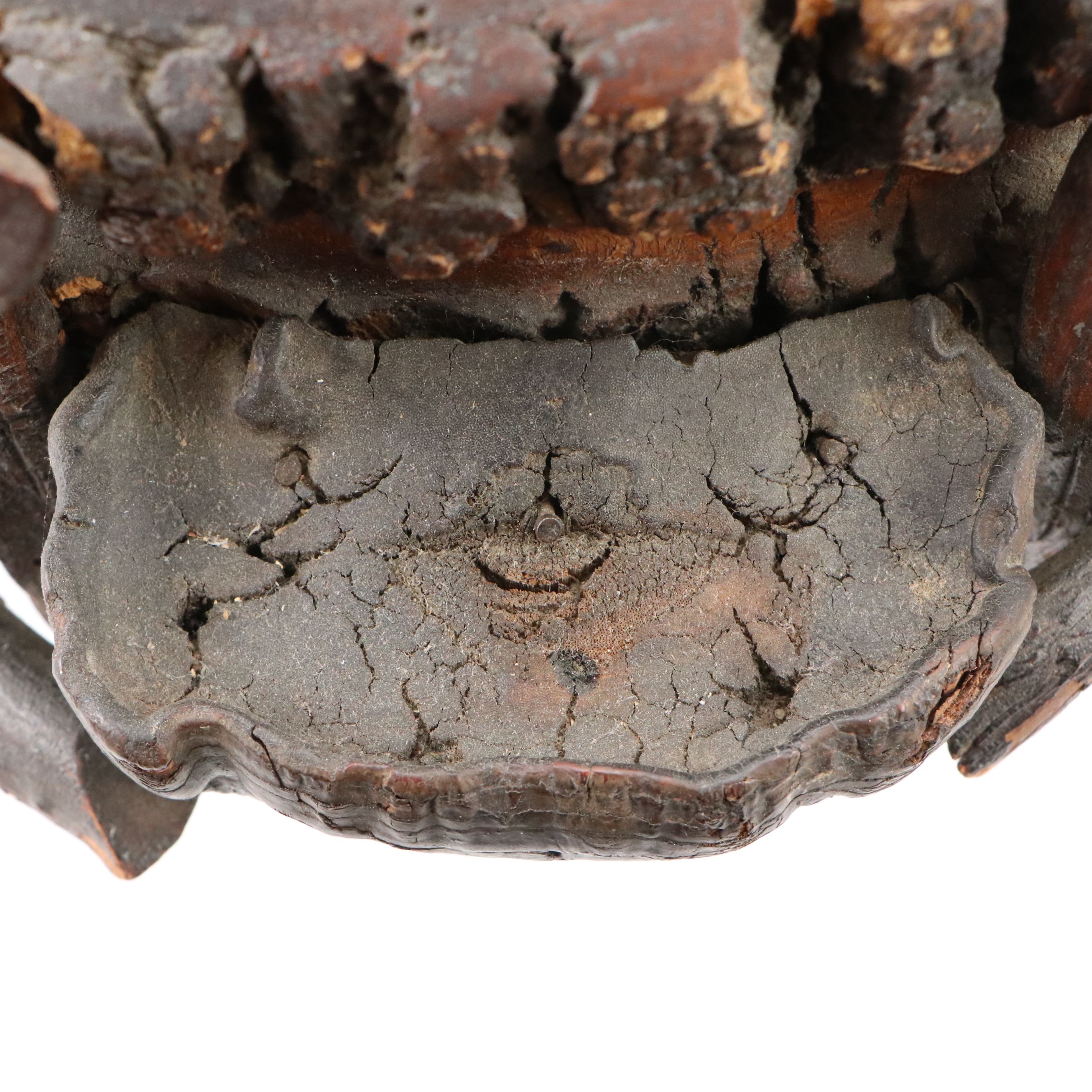 Handcrafted Pine Trunk with Bark Edge and Conk Pedestal Bowl