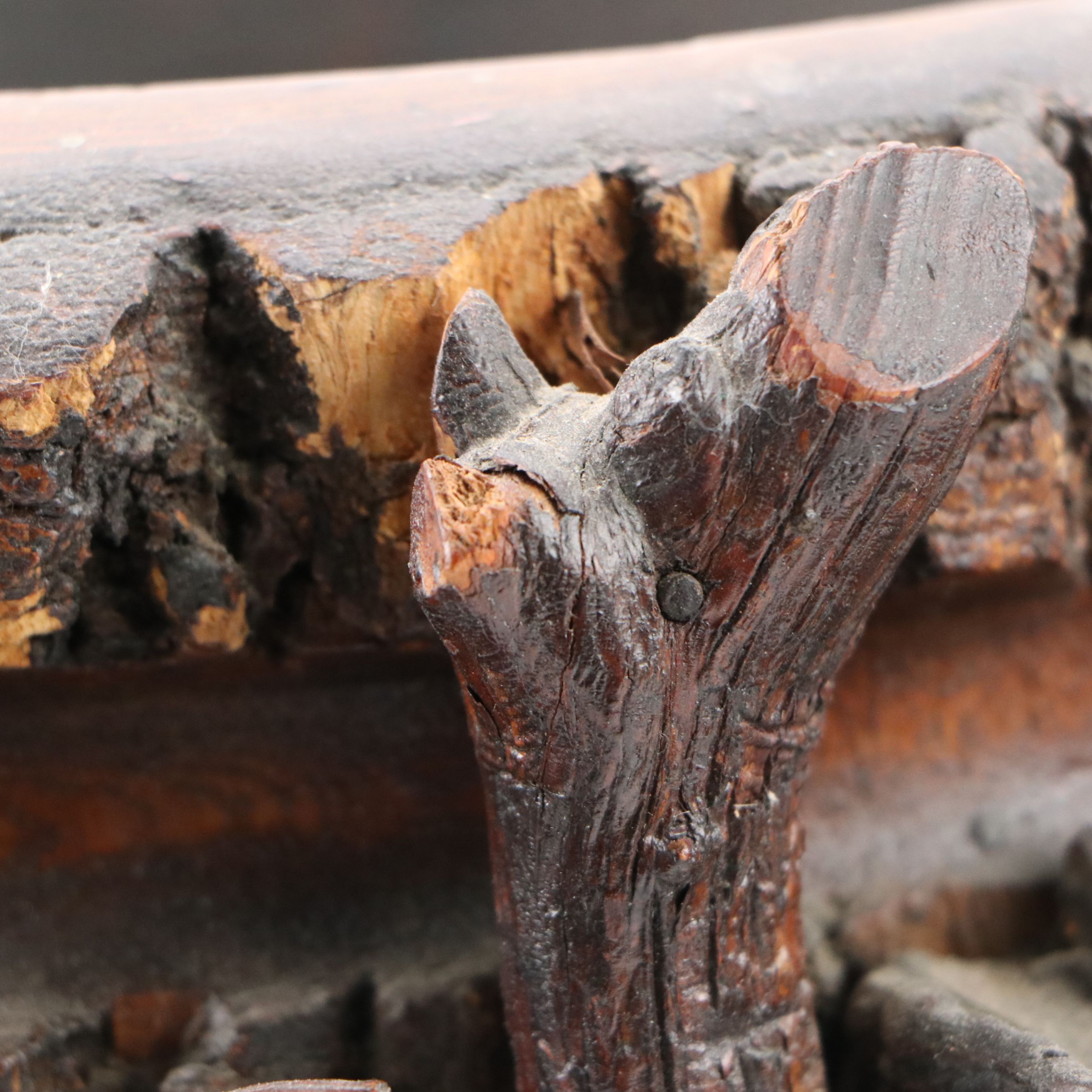 Handcrafted Pine Trunk with Bark Edge and Conk Pedestal Bowl