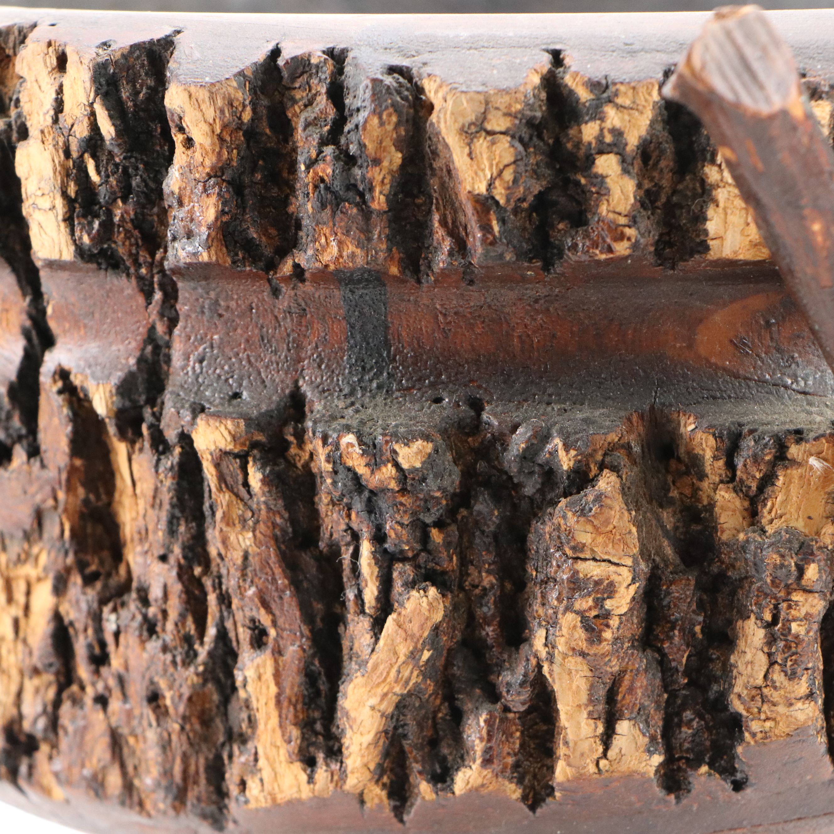 Handcrafted Pine Trunk with Bark Edge and Conk Pedestal Bowl