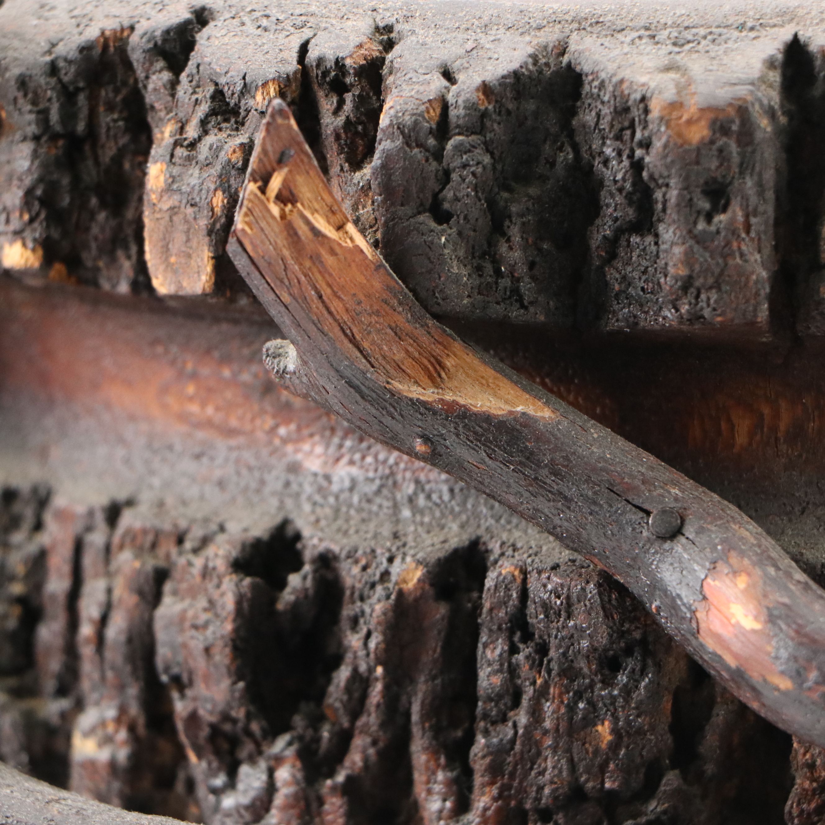 Handcrafted Pine Trunk with Bark Edge and Conk Pedestal Bowl