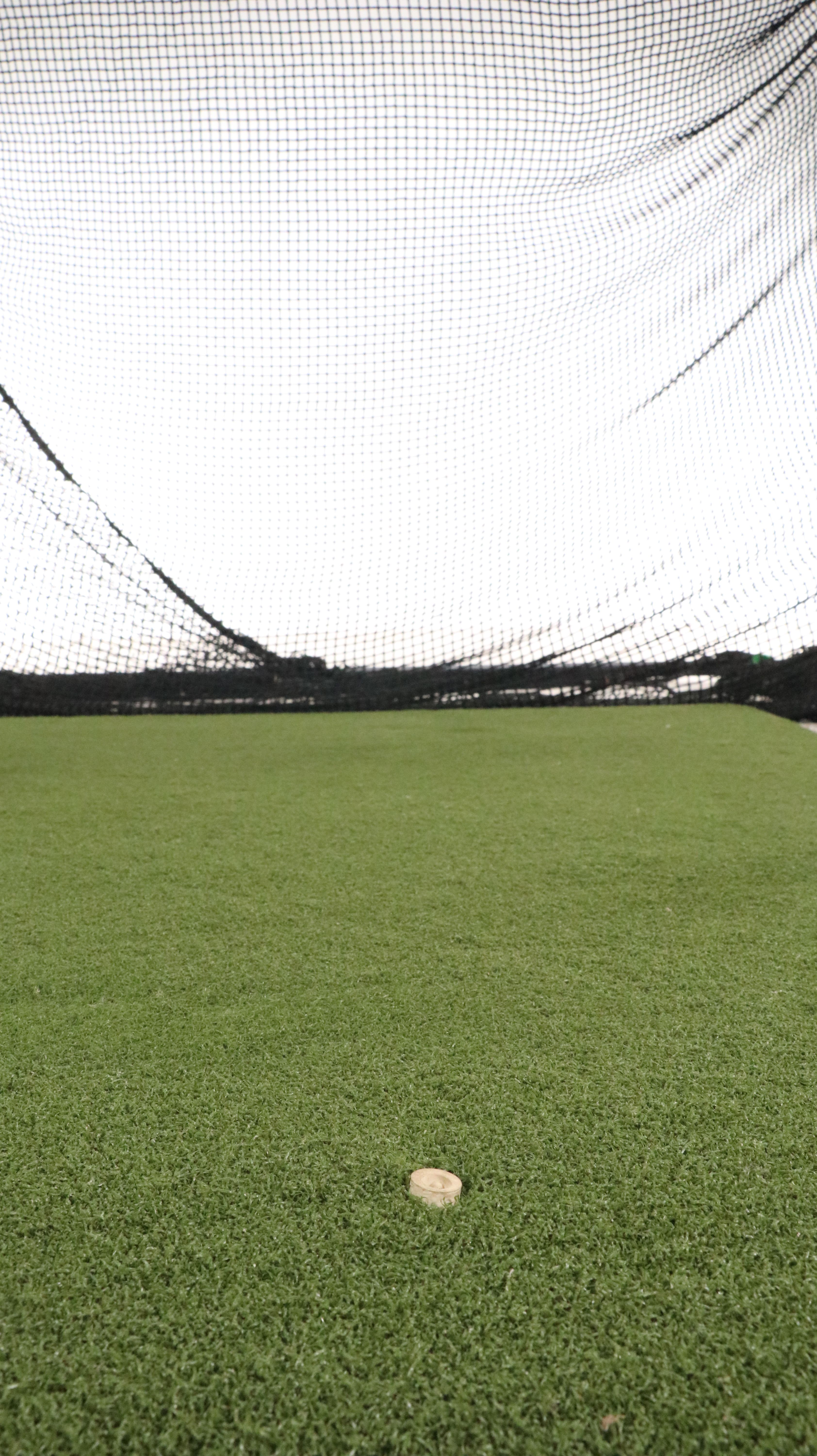 The Net Return Pro Series Golf Swing Practice Net with Green