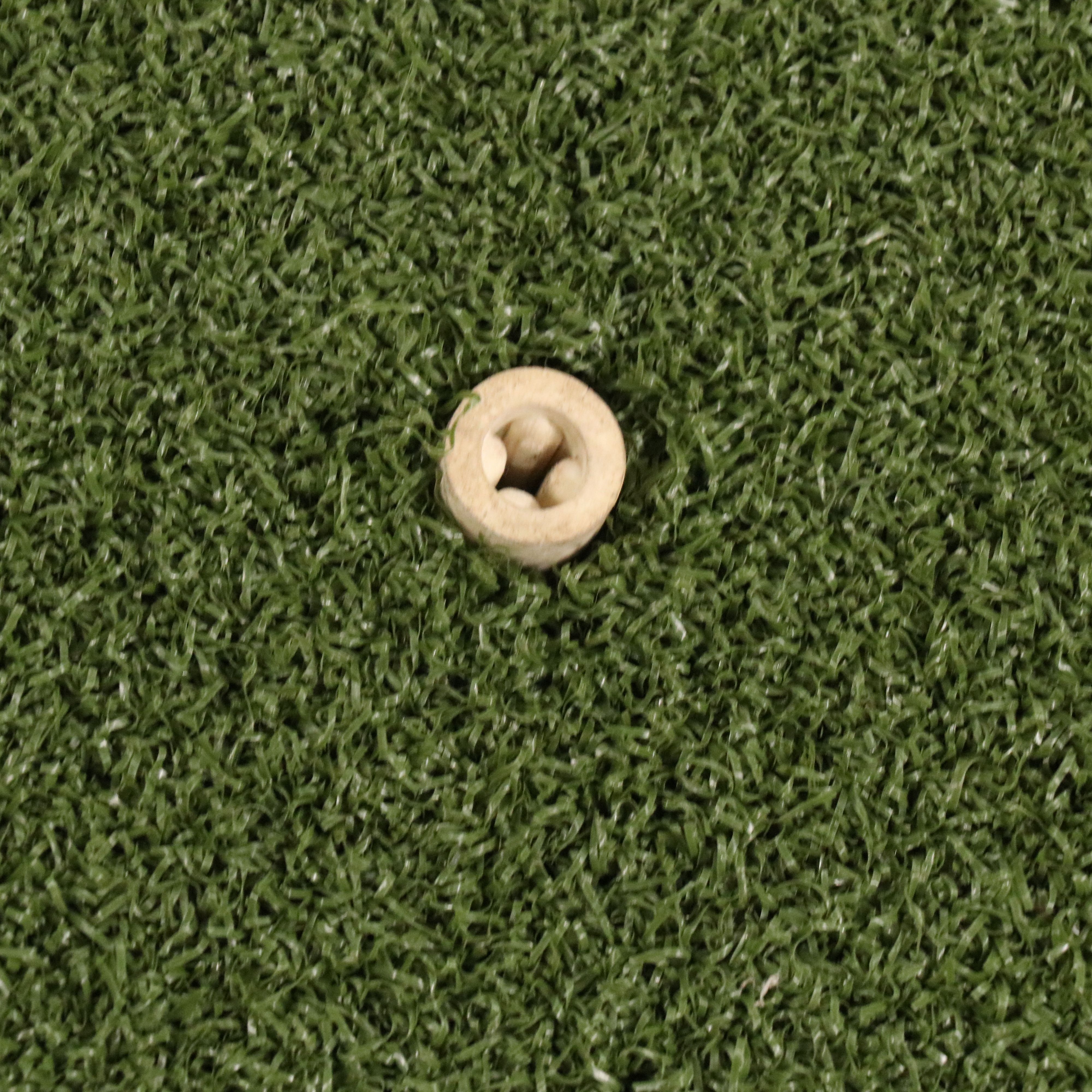 The Net Return Pro Series Golf Swing Practice Net with Green