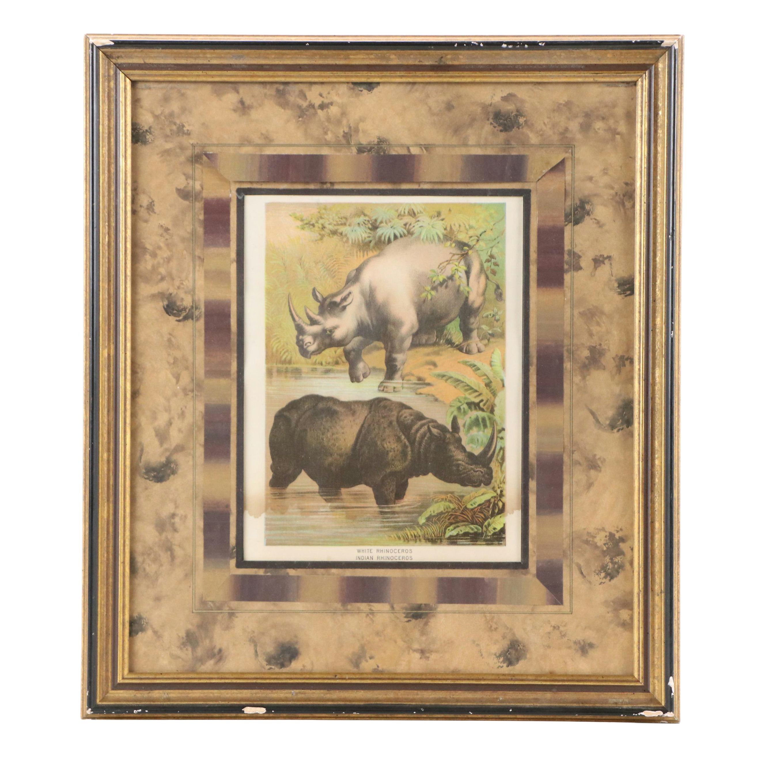 Zoological Chromolithograph "White Rhinoceros, Indian Rhinoceros," Late 19th C.