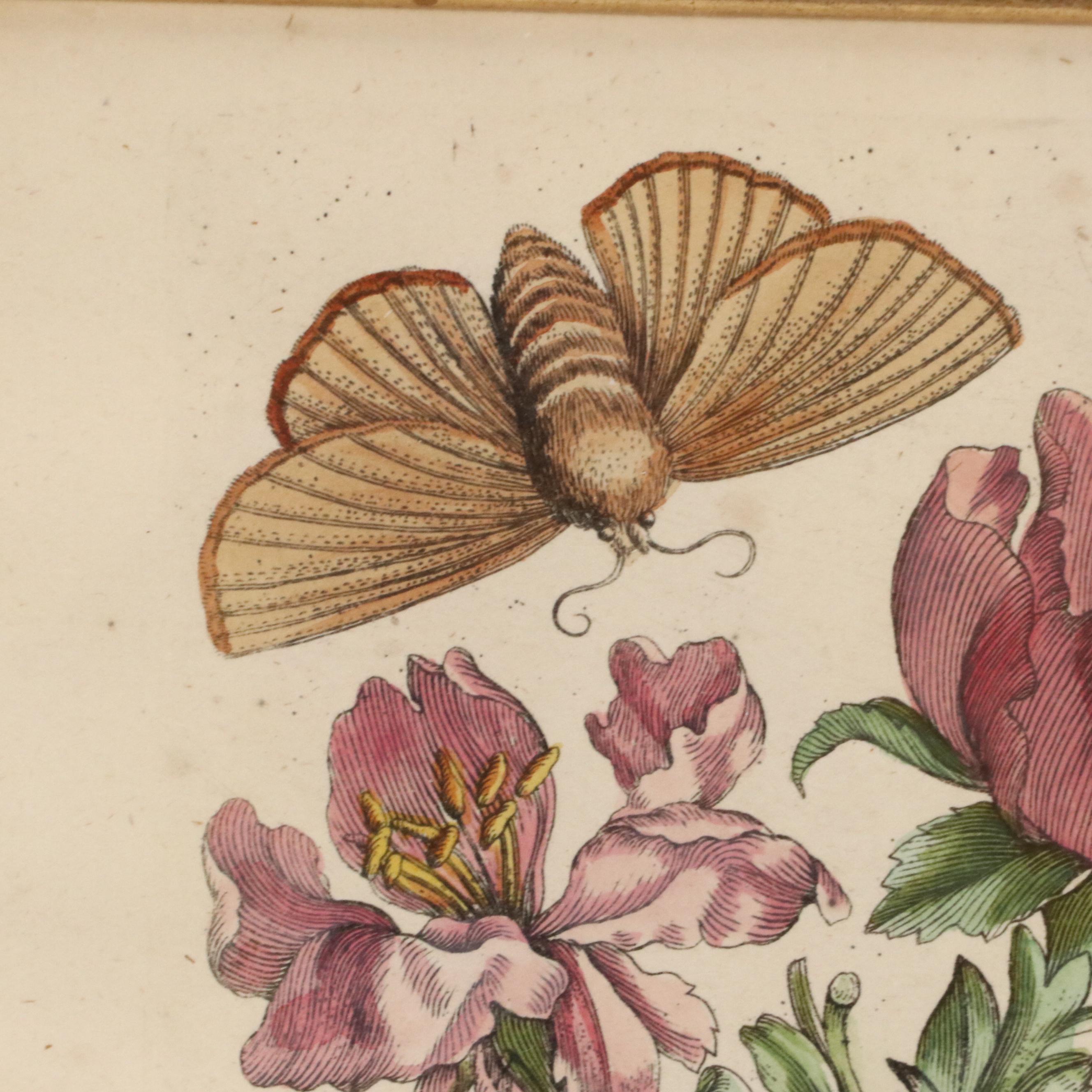 Flower & Insect Botanical Engravings from "De Europische Insecten," Circa 1730