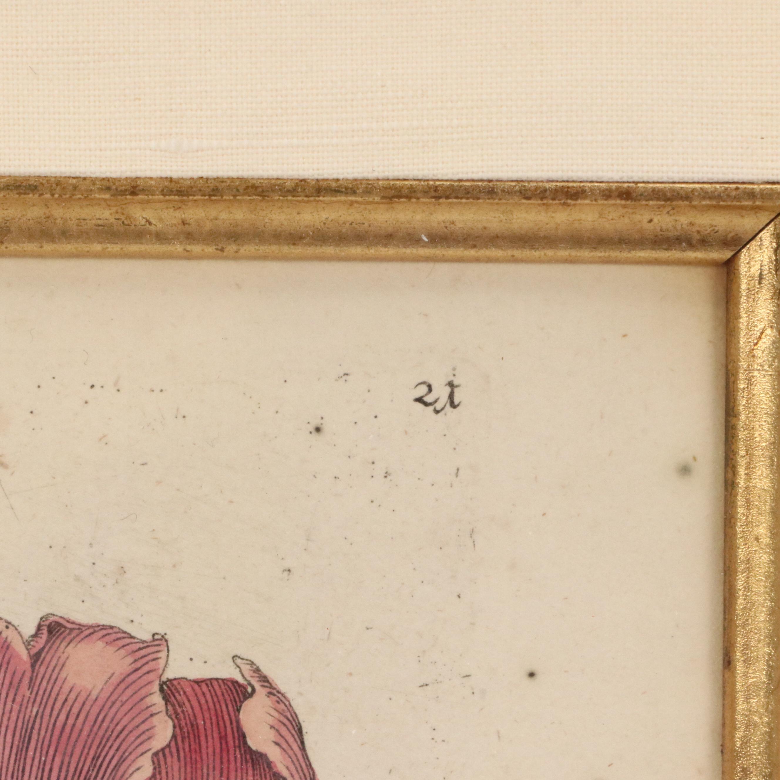 Flower & Insect Botanical Engravings from "De Europische Insecten," Circa 1730