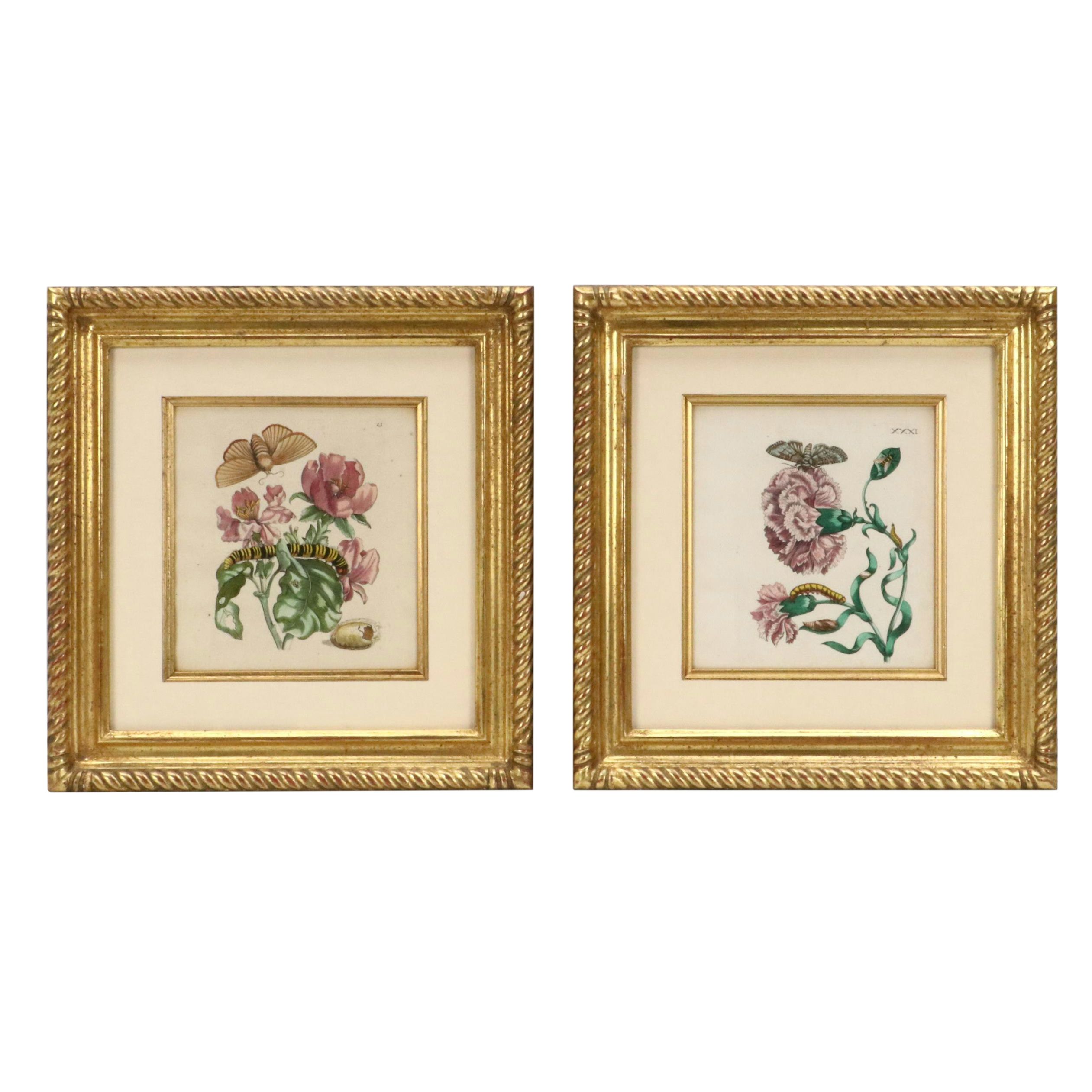 Flower & Insect Botanical Engravings from "De Europische Insecten," Circa 1730