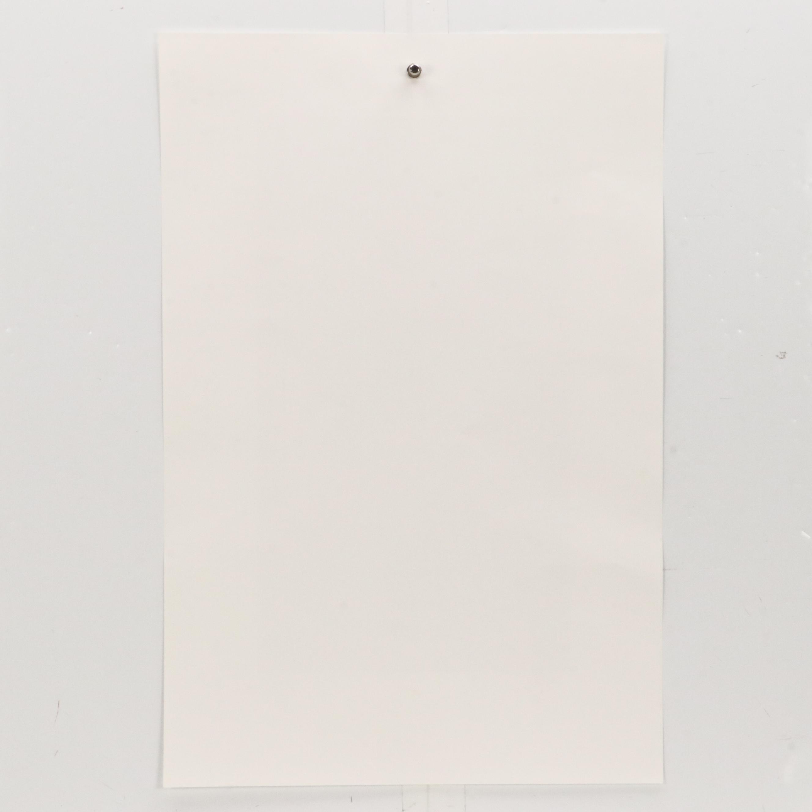 After Carl Larsson Offset Lithograph "Lisbeth"