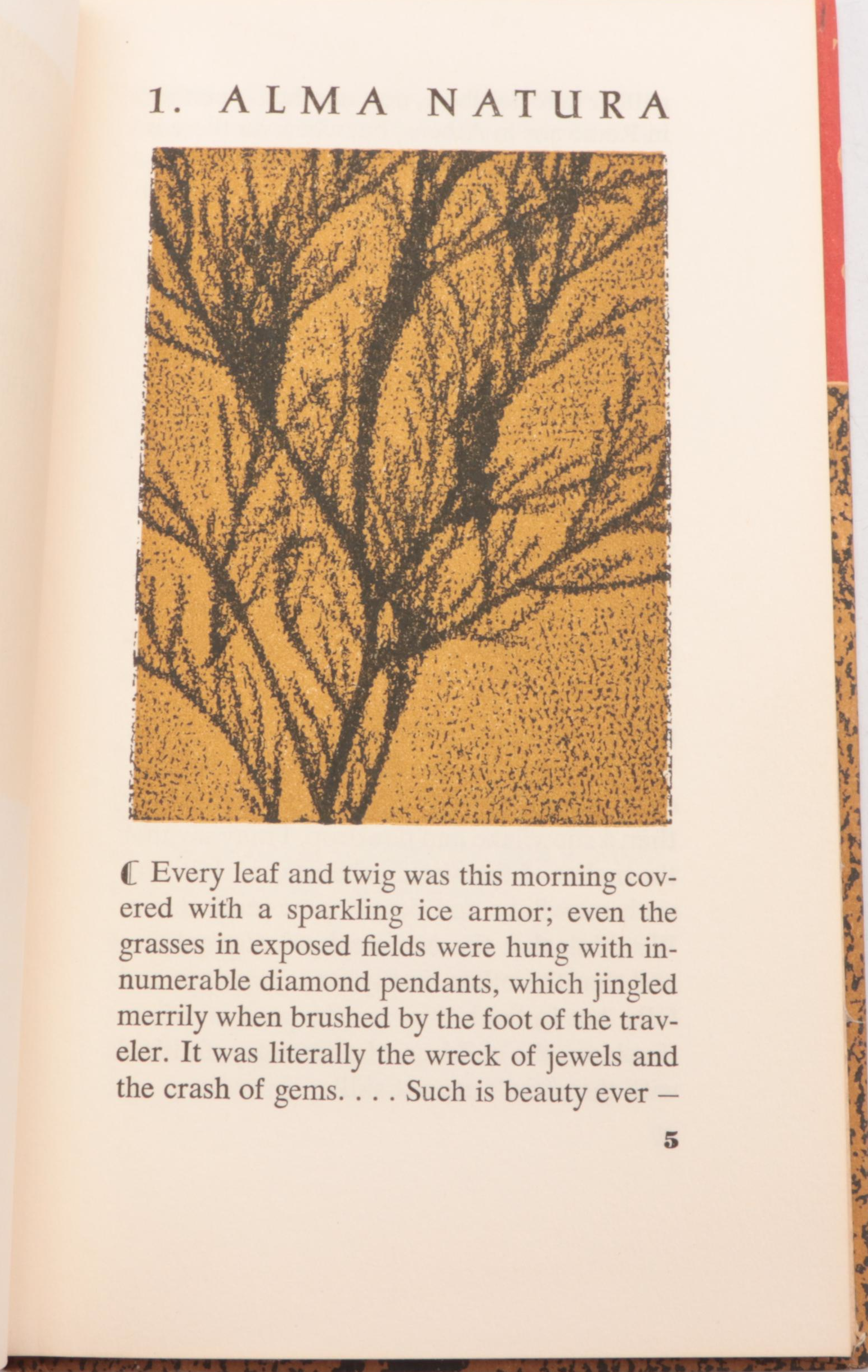 "On Man and Nature," "A Field Guide to the Birds" and Other Vintage Nature Books