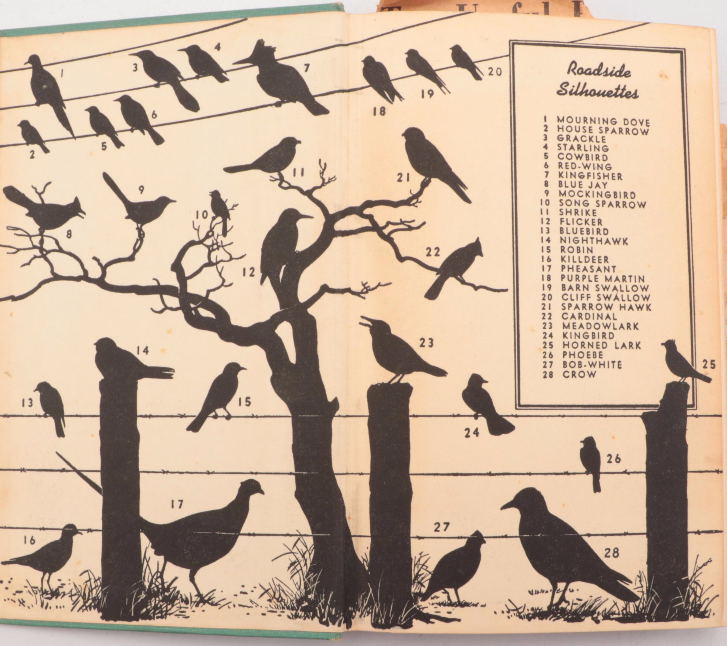 "On Man and Nature," "A Field Guide to the Birds" and Other Vintage Nature Books