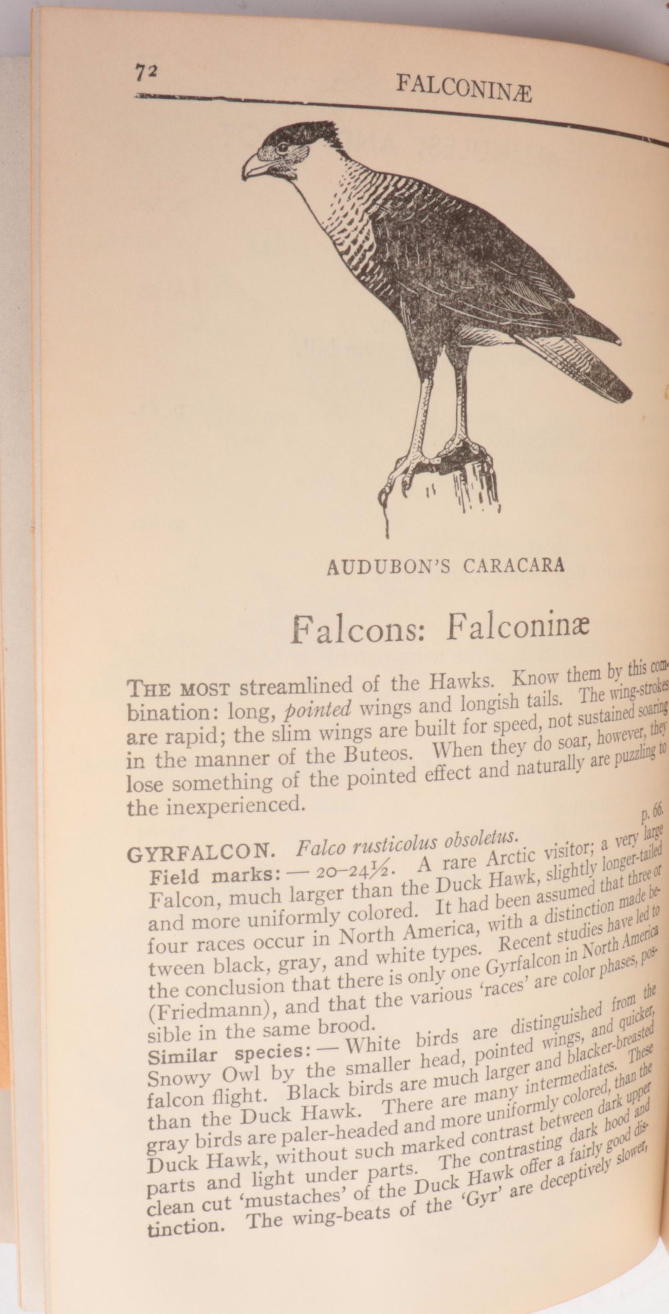 "On Man and Nature," "A Field Guide to the Birds" and Other Vintage Nature Books