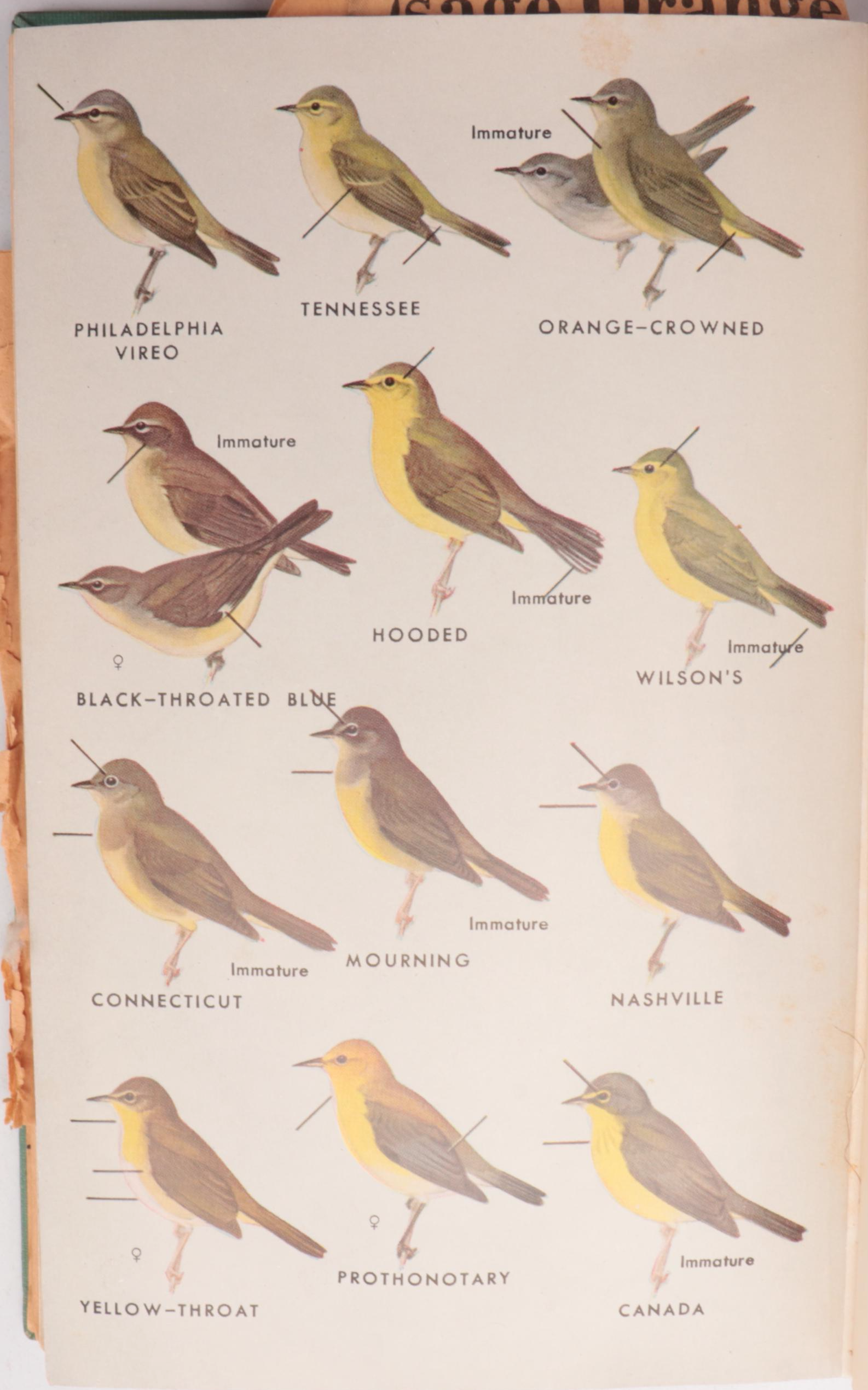 "On Man and Nature," "A Field Guide to the Birds" and Other Vintage Nature Books