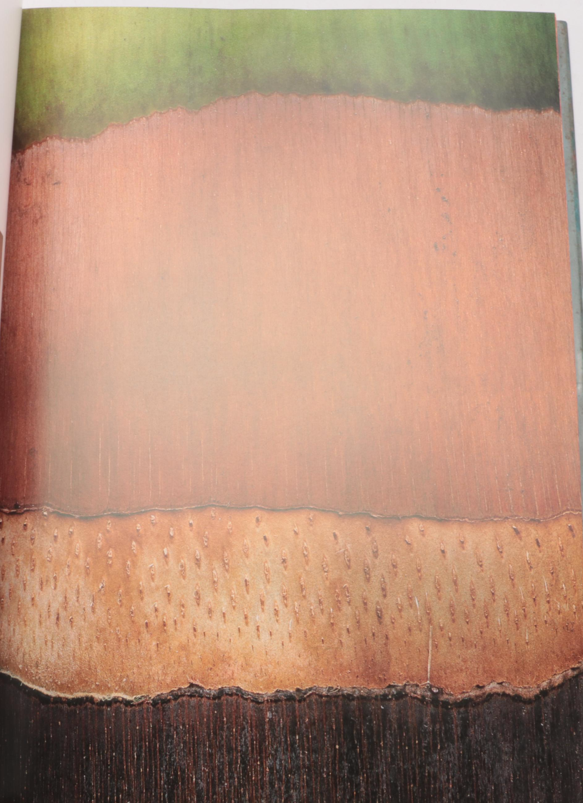 "Great Camps of the Adirondacks"  by Harvey H. Kaiser with More Books