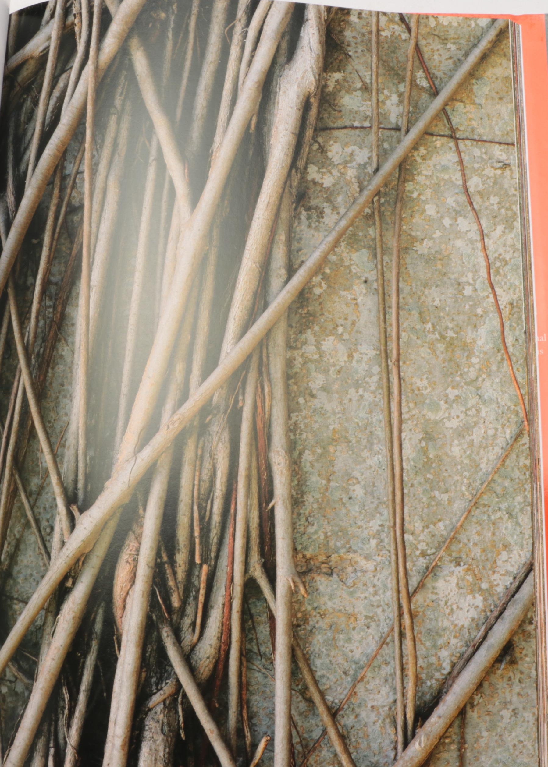 "Great Camps of the Adirondacks"  by Harvey H. Kaiser with More Books