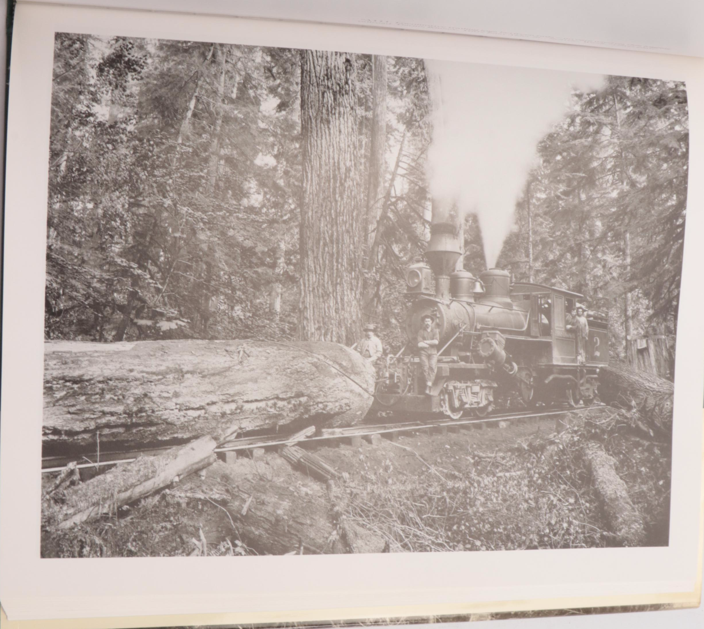 "Great Camps of the Adirondacks"  by Harvey H. Kaiser with More Books