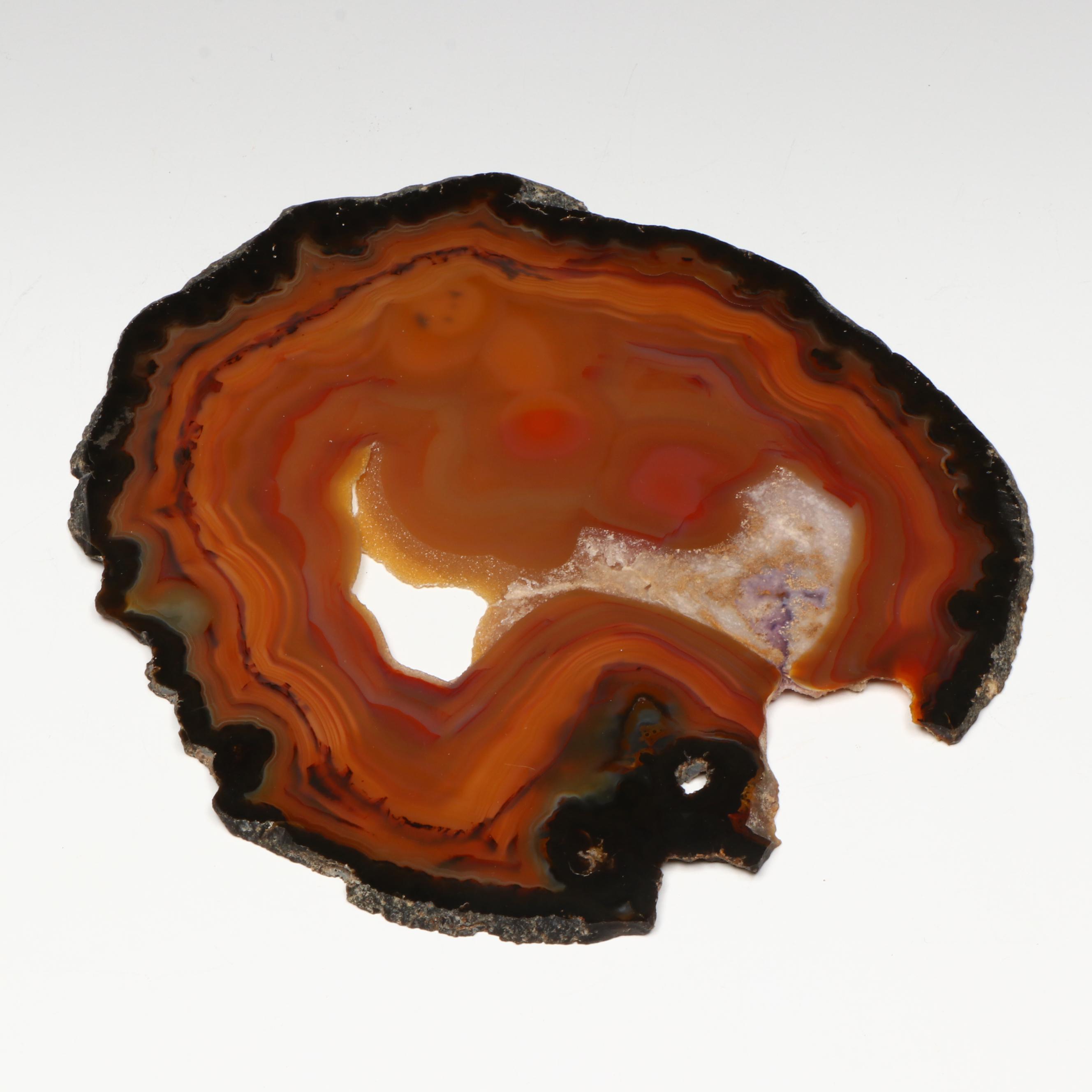 Sliced and Polished Agate Specimen