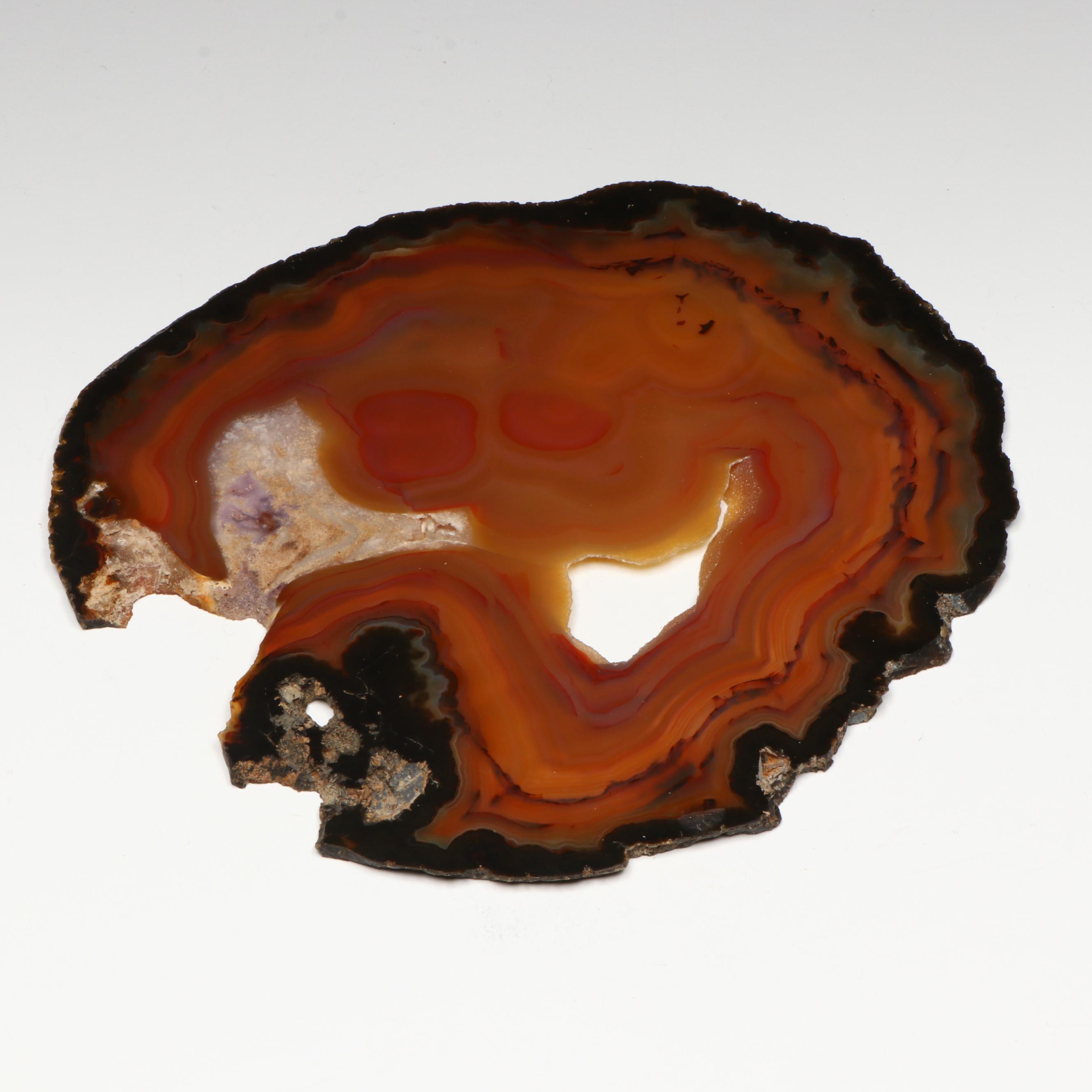 Sliced and Polished Agate Specimen