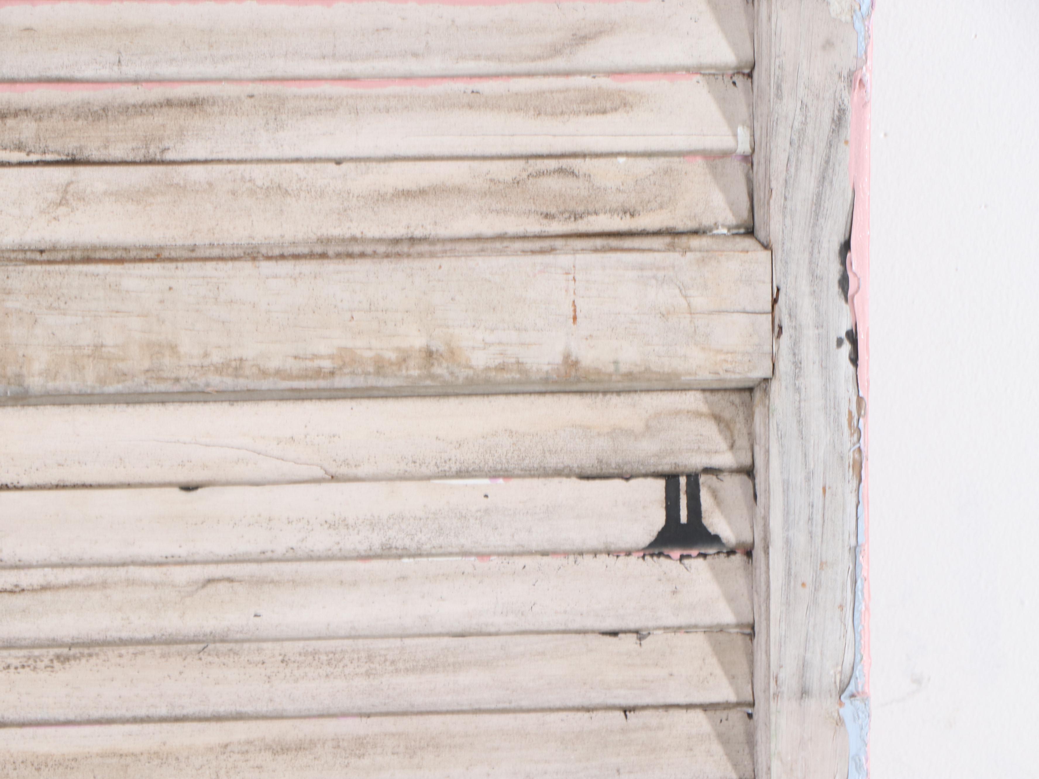 Pair of Vintage Painted Wood Louvered Window Shutters