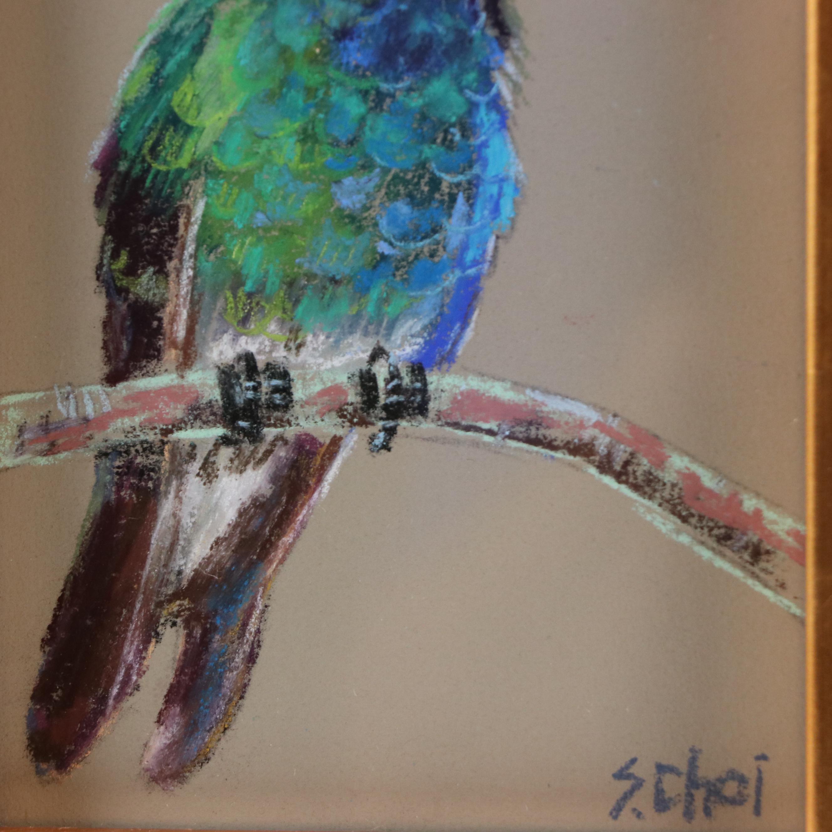 Sunkyung Choi Pastel Drawing of Broad-Billed Hummingbird, 21st Century